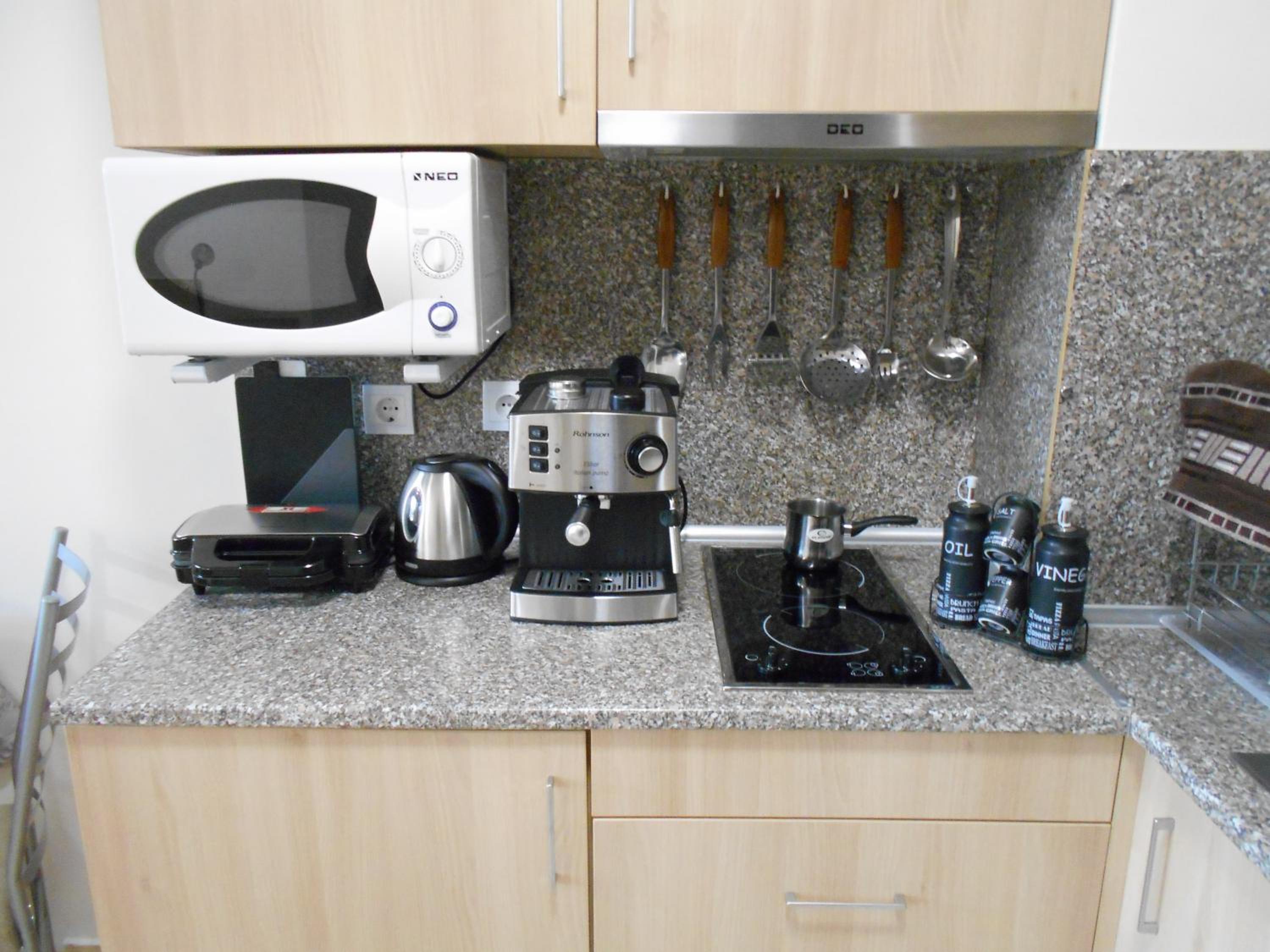NICE STUDIO in "BOROVETS GARDENS" hotel view 5