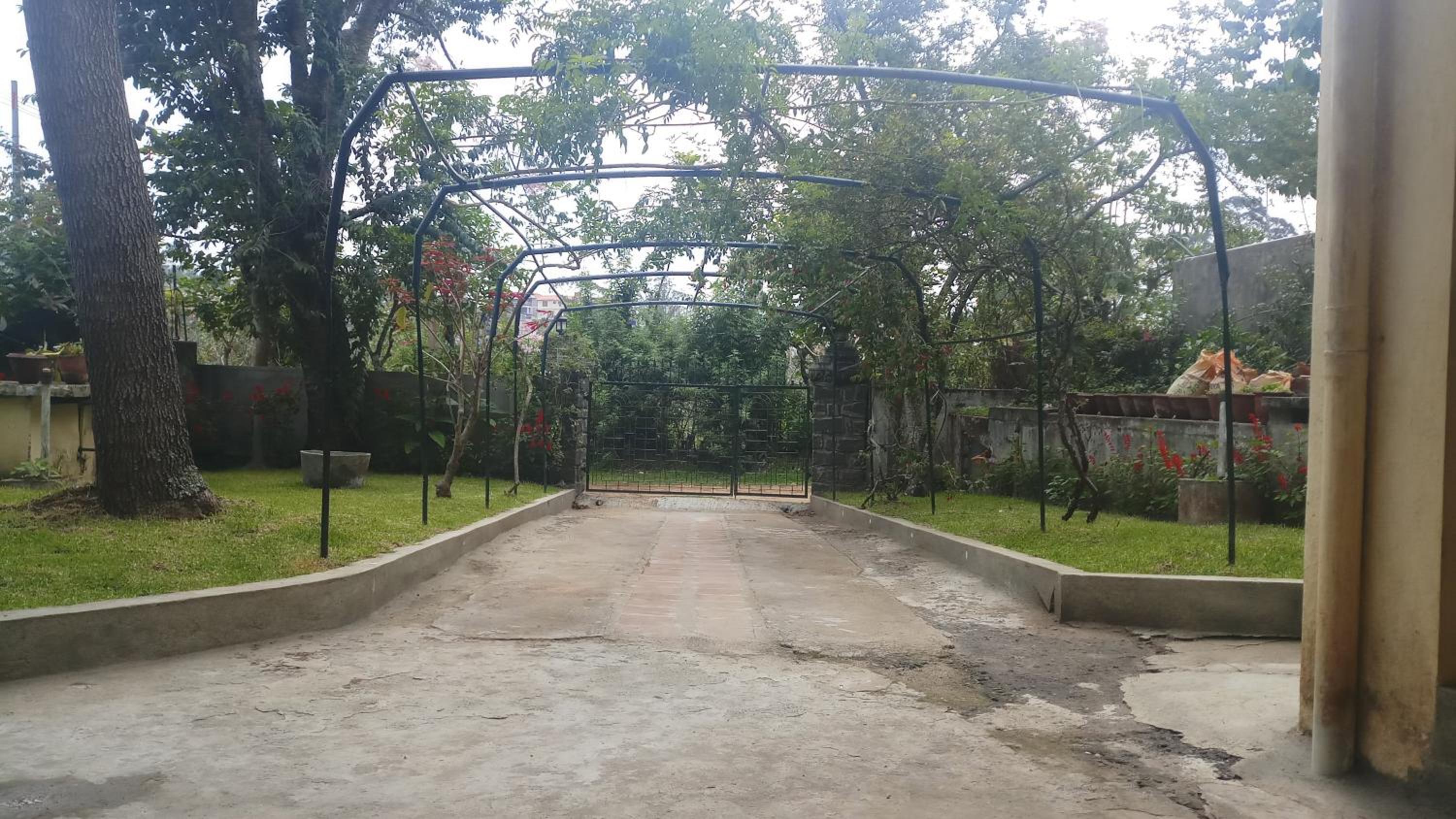 Green Woods Homestay view 5