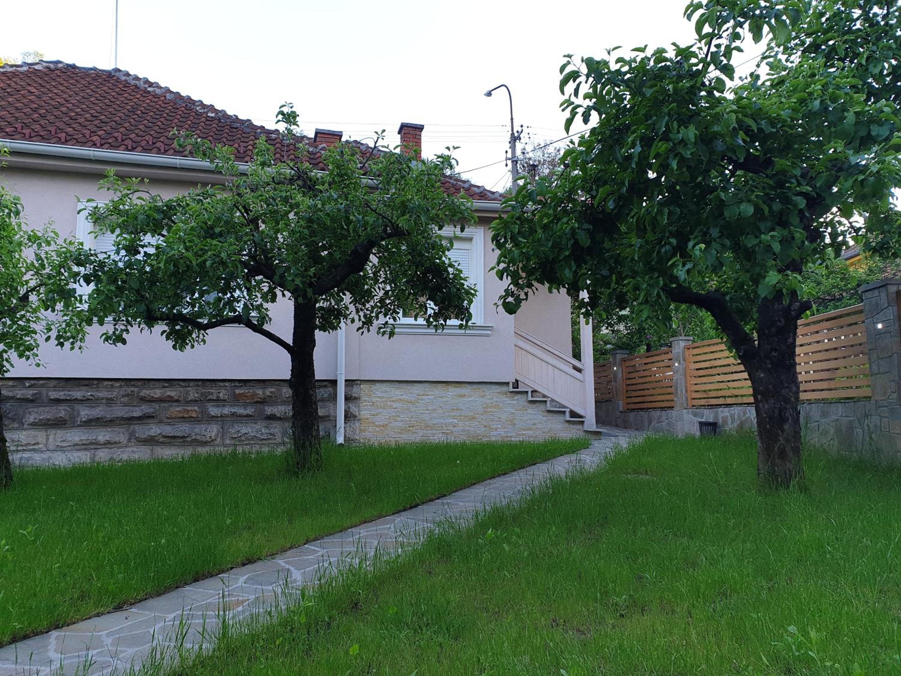Photo 7