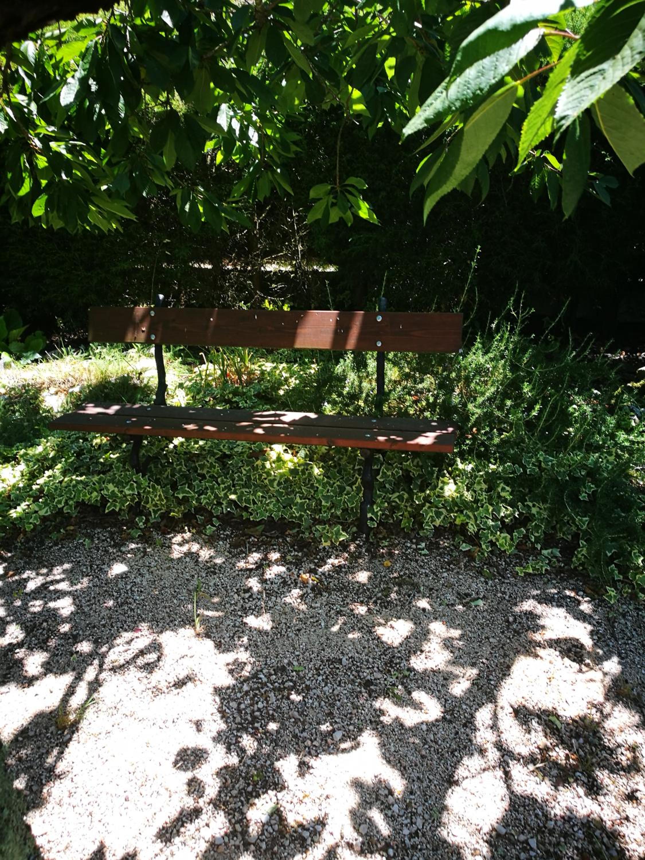 Photo 22