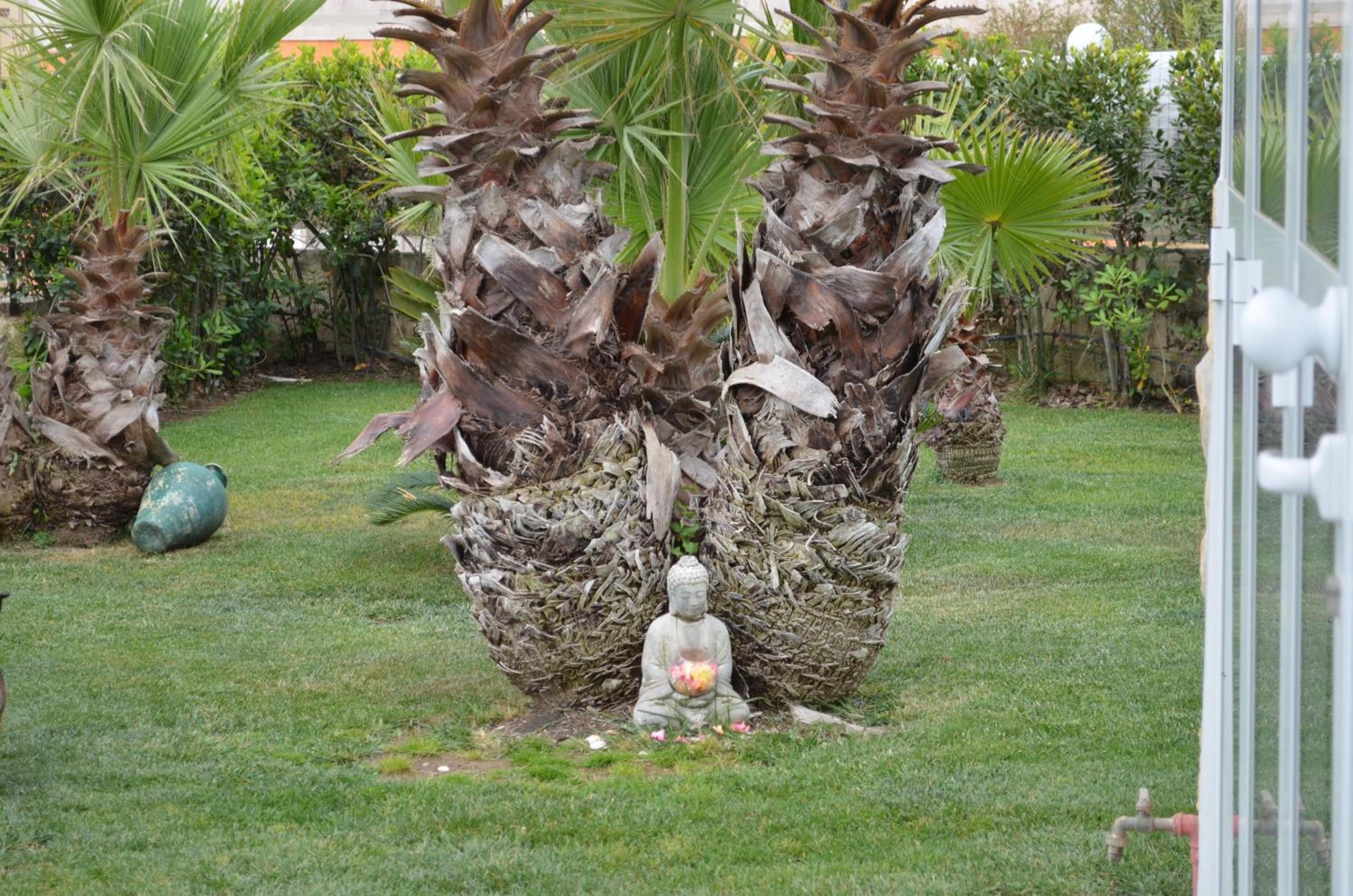 Floripa Surf House photo 2