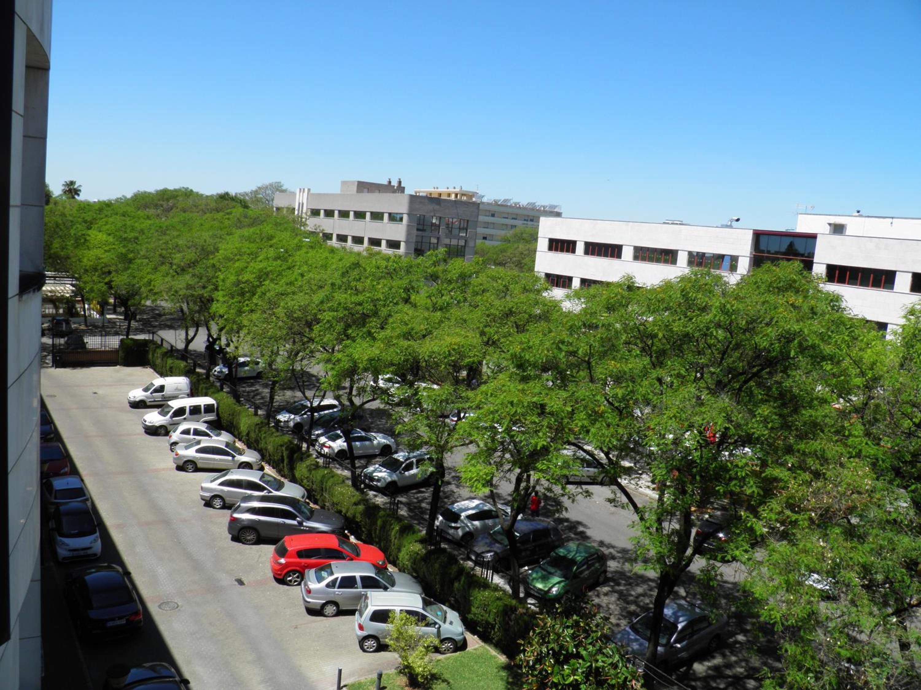 Apartamento Fibes-Congresos Parking Gratis