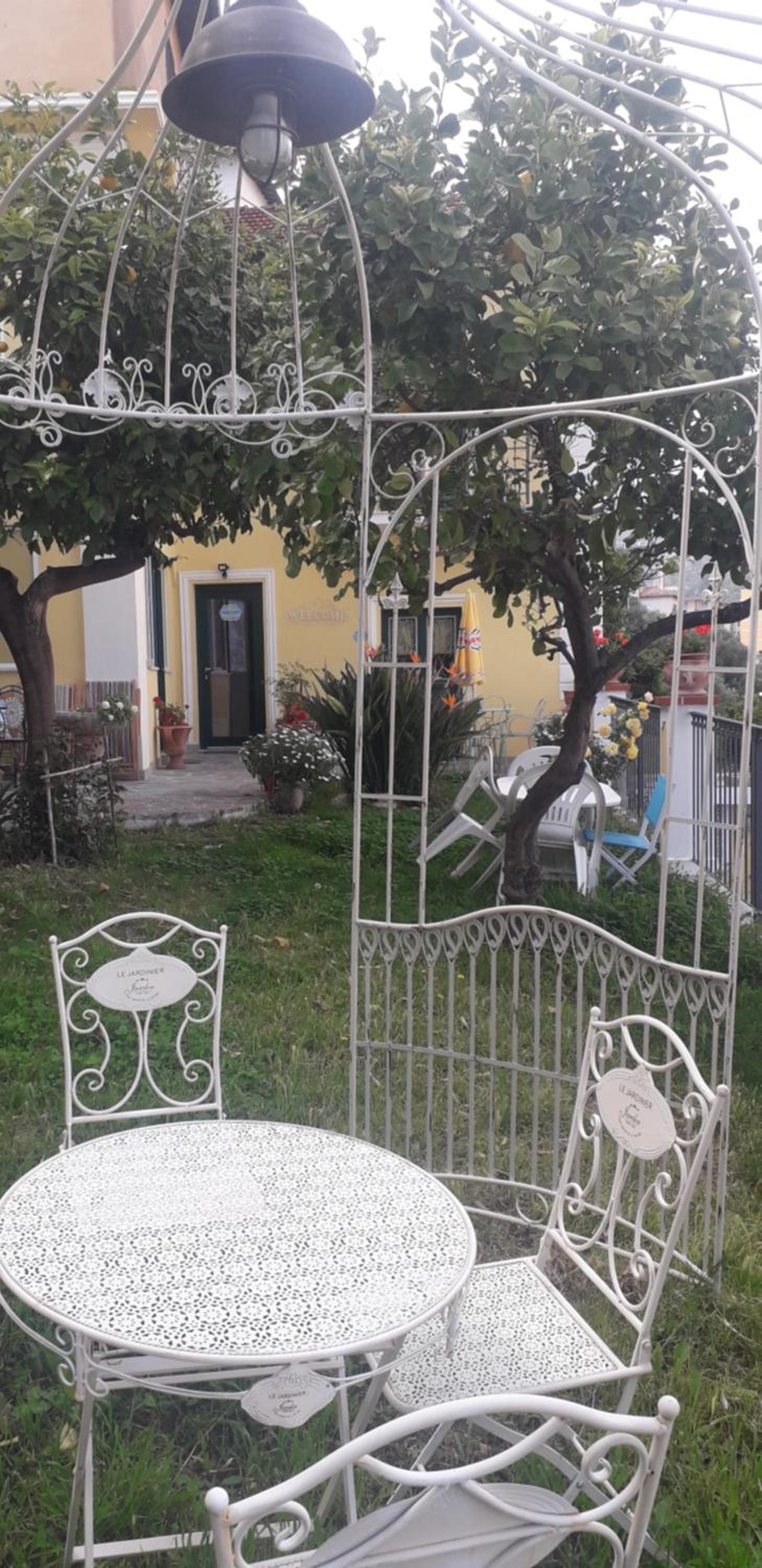 Photo 19