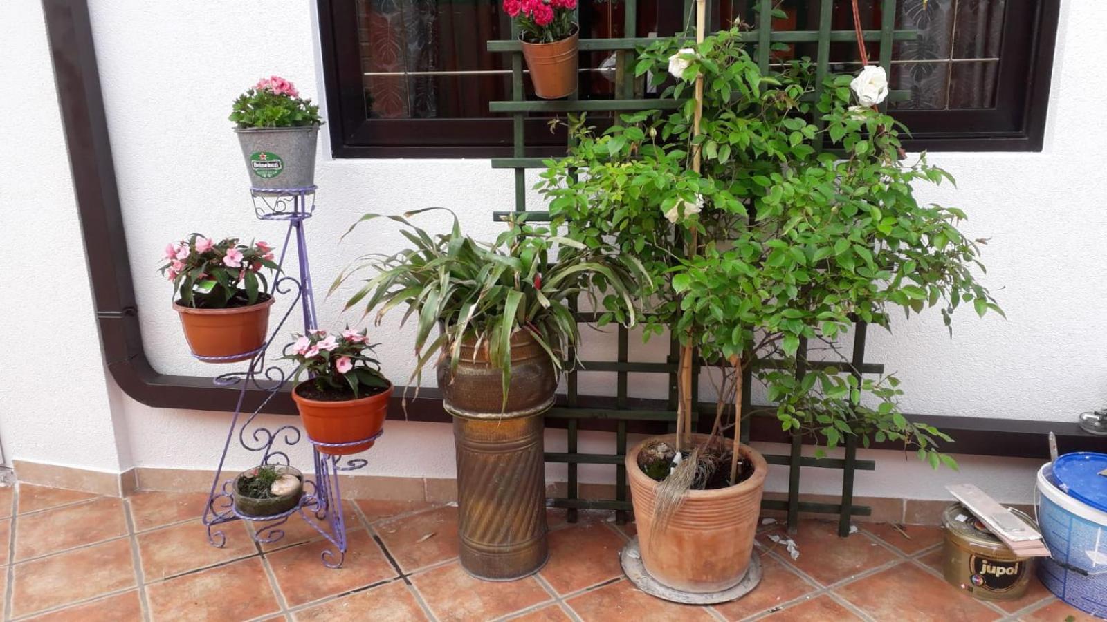 B&B LAVANDA , Finida-Umag