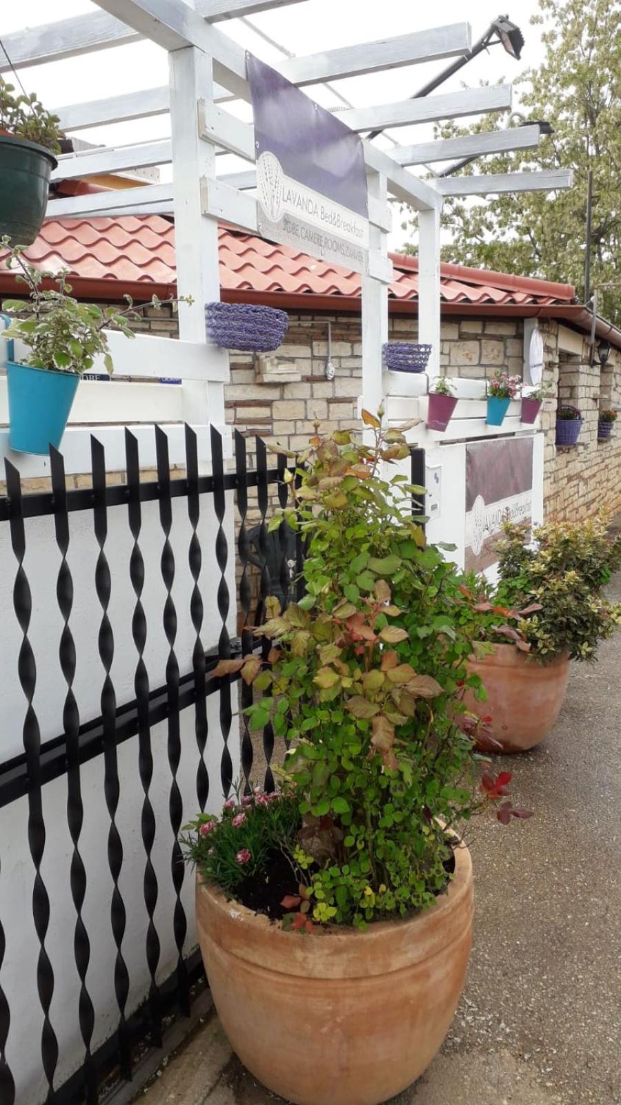 B&B LAVANDA , Finida-Umag