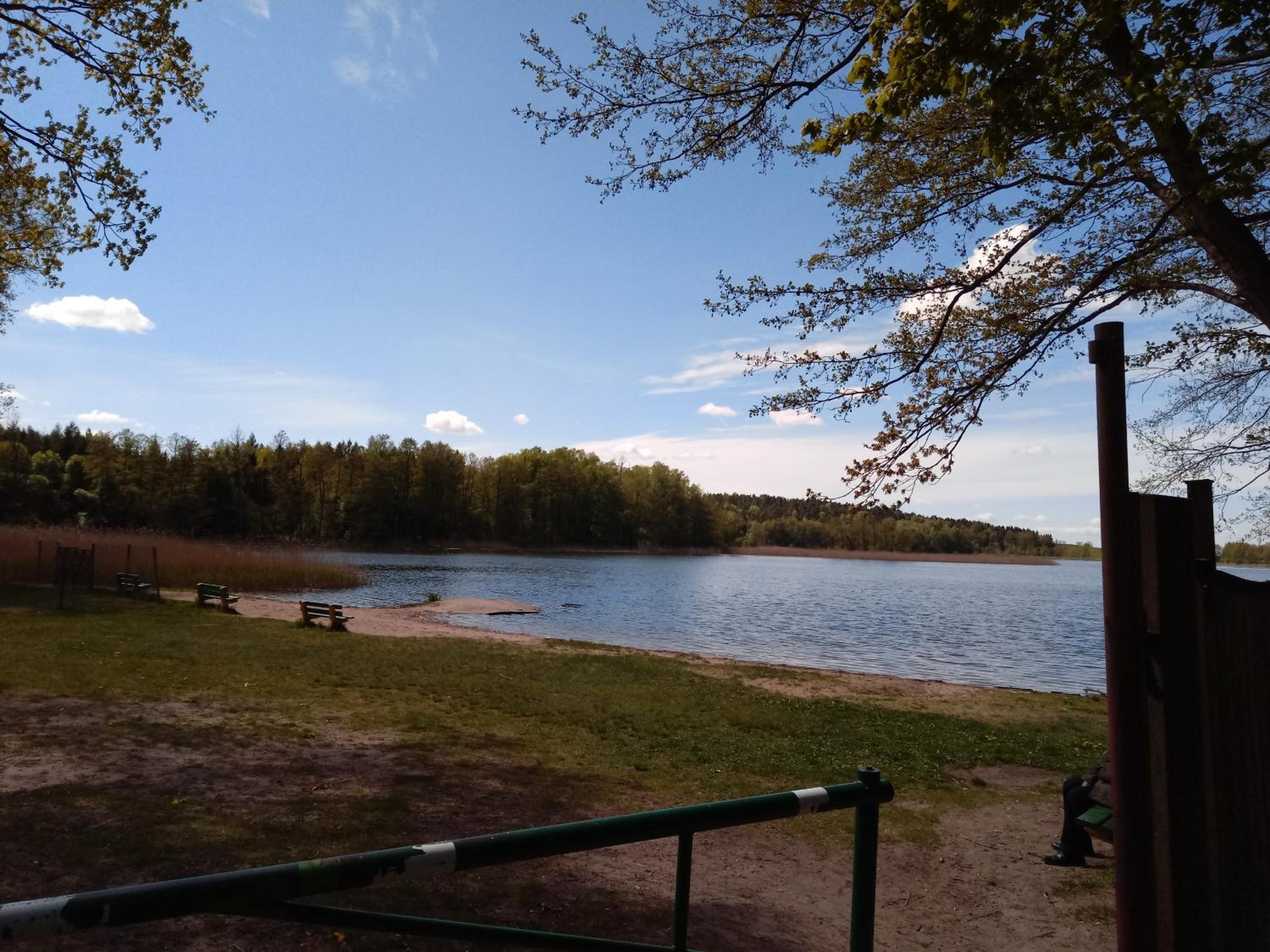 Photo 41