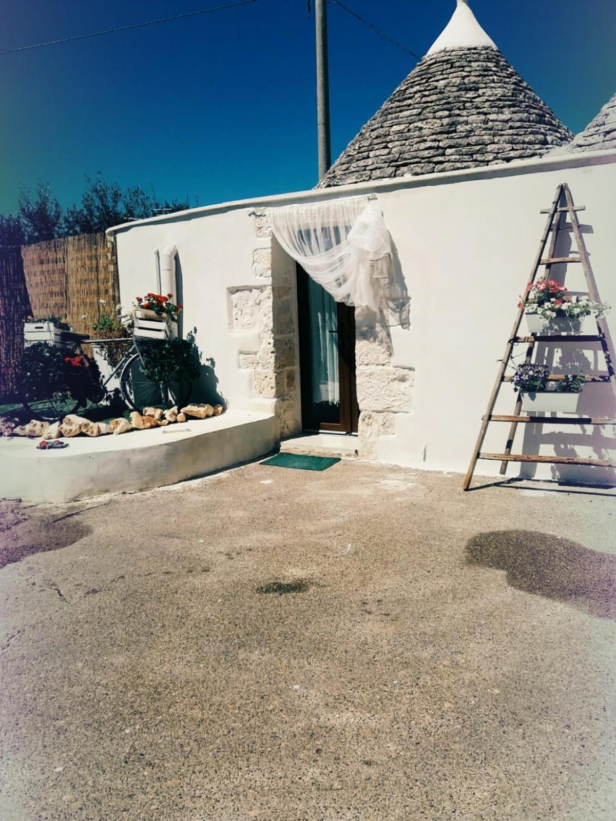 Photo 48