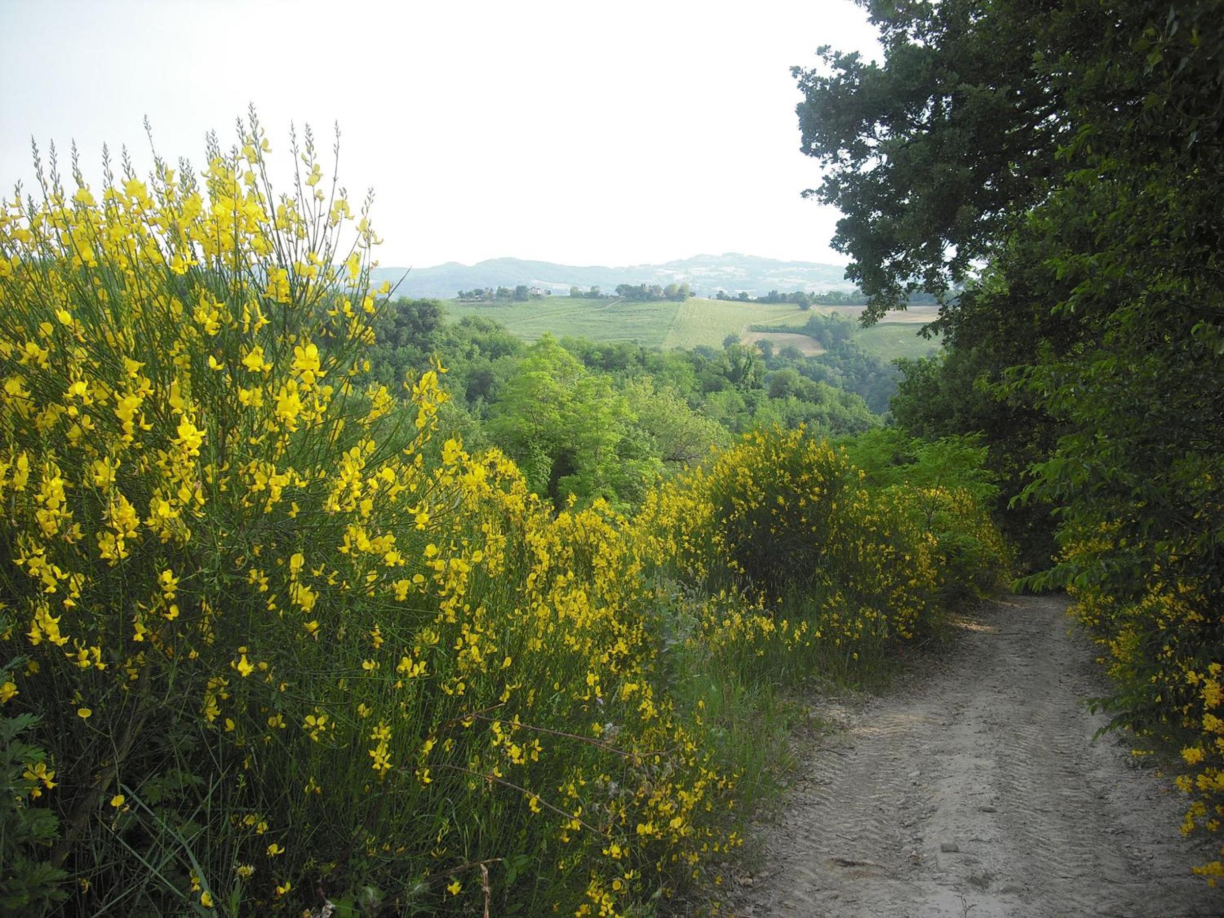 Agriturismo Biologico Villa Rosa