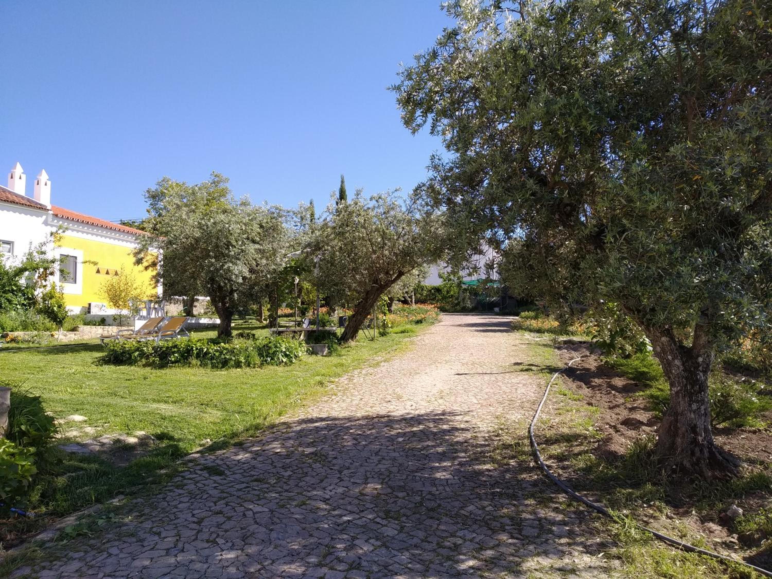 Casa da Paleta