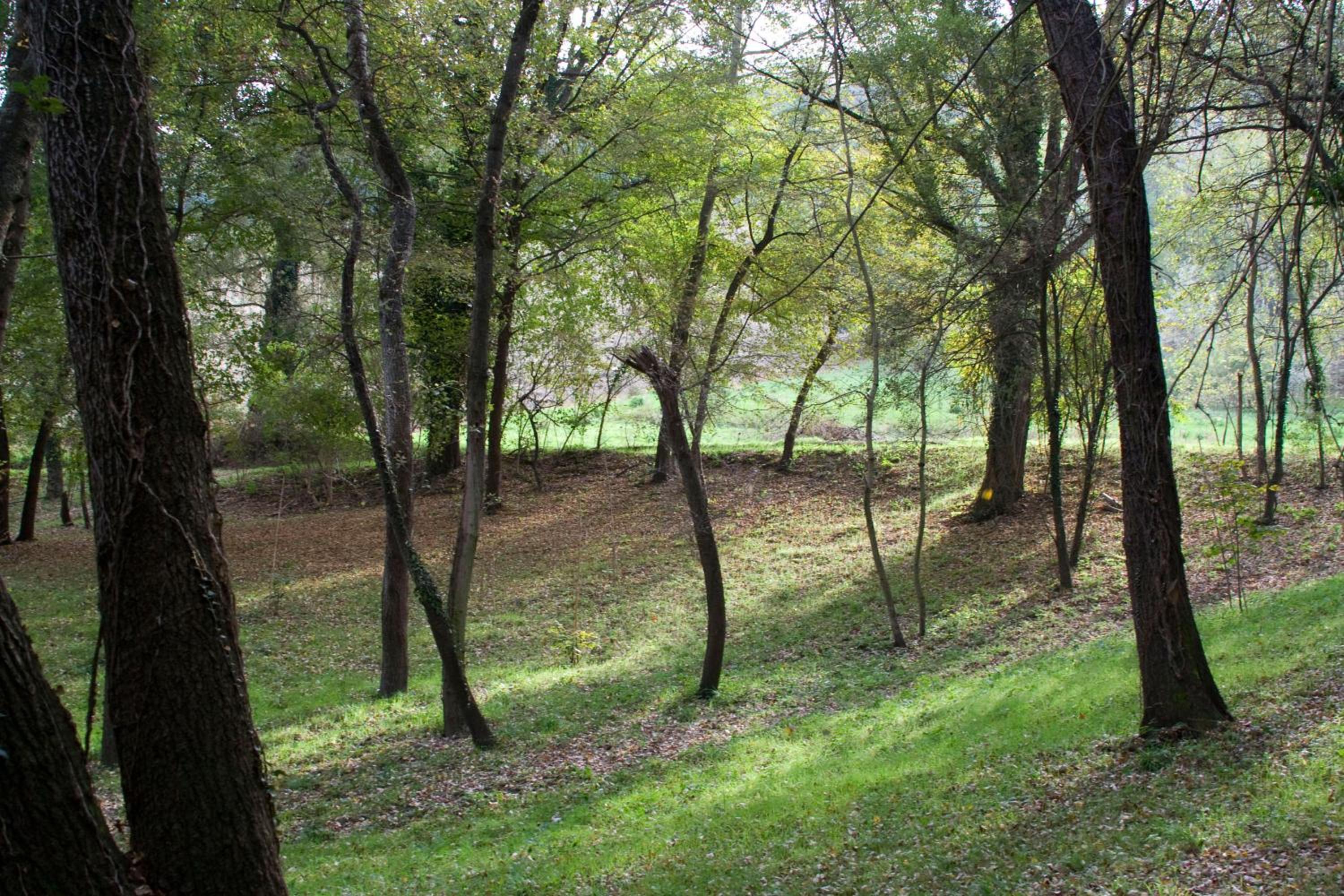 Agriturismo Biologico Villa Rosa