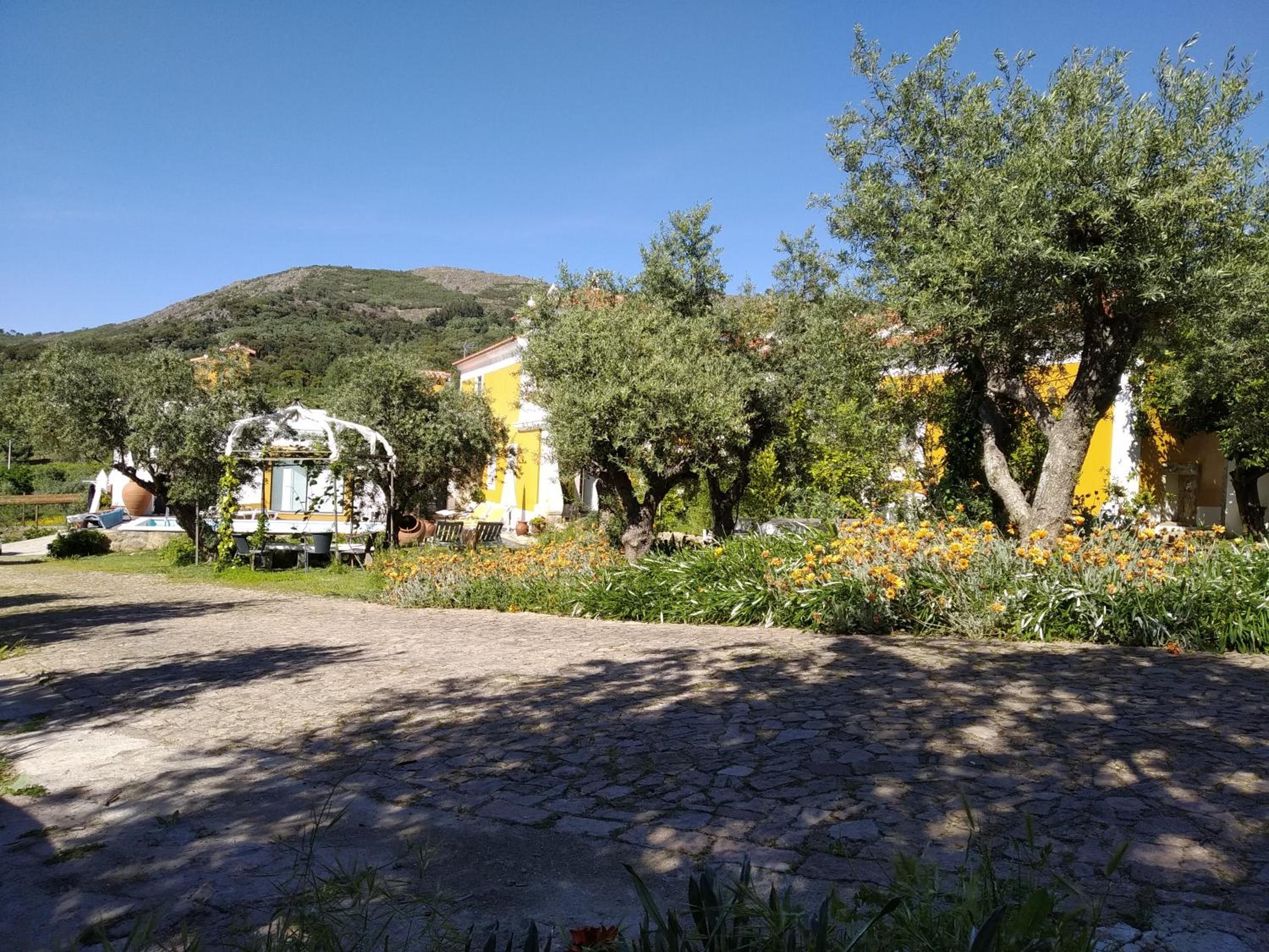 Casa da Paleta