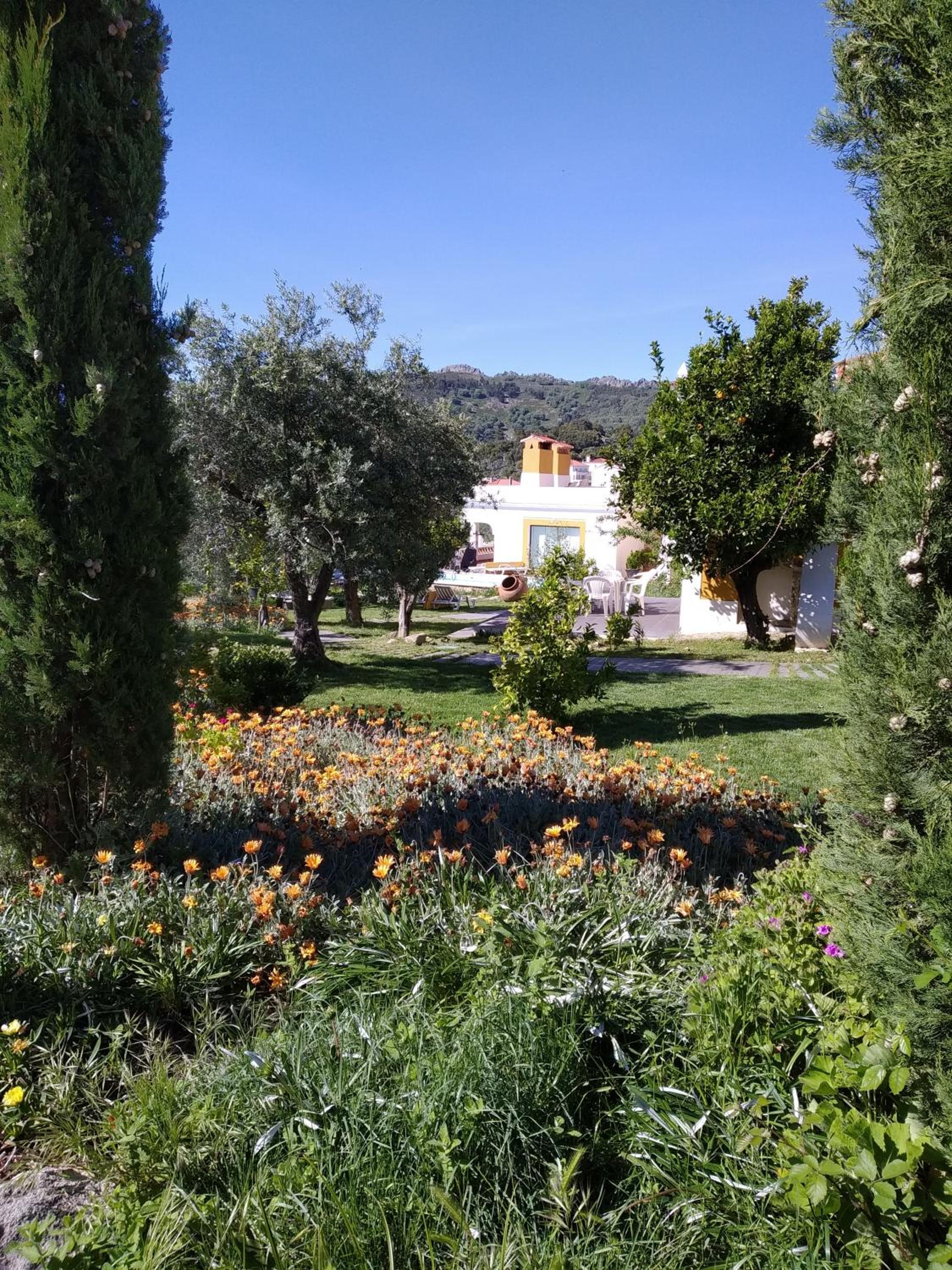 Casa da Paleta