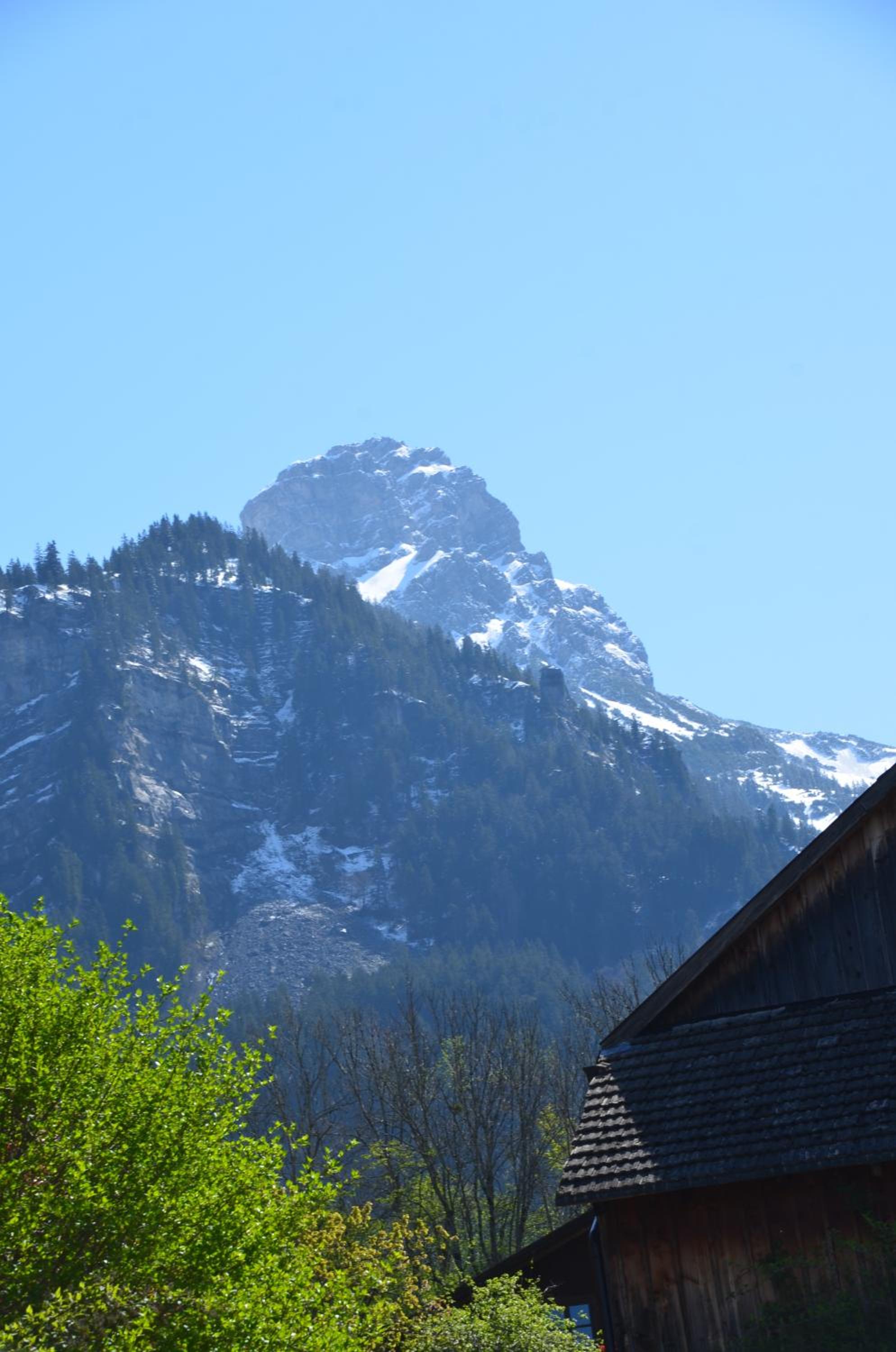 Mottnerhof