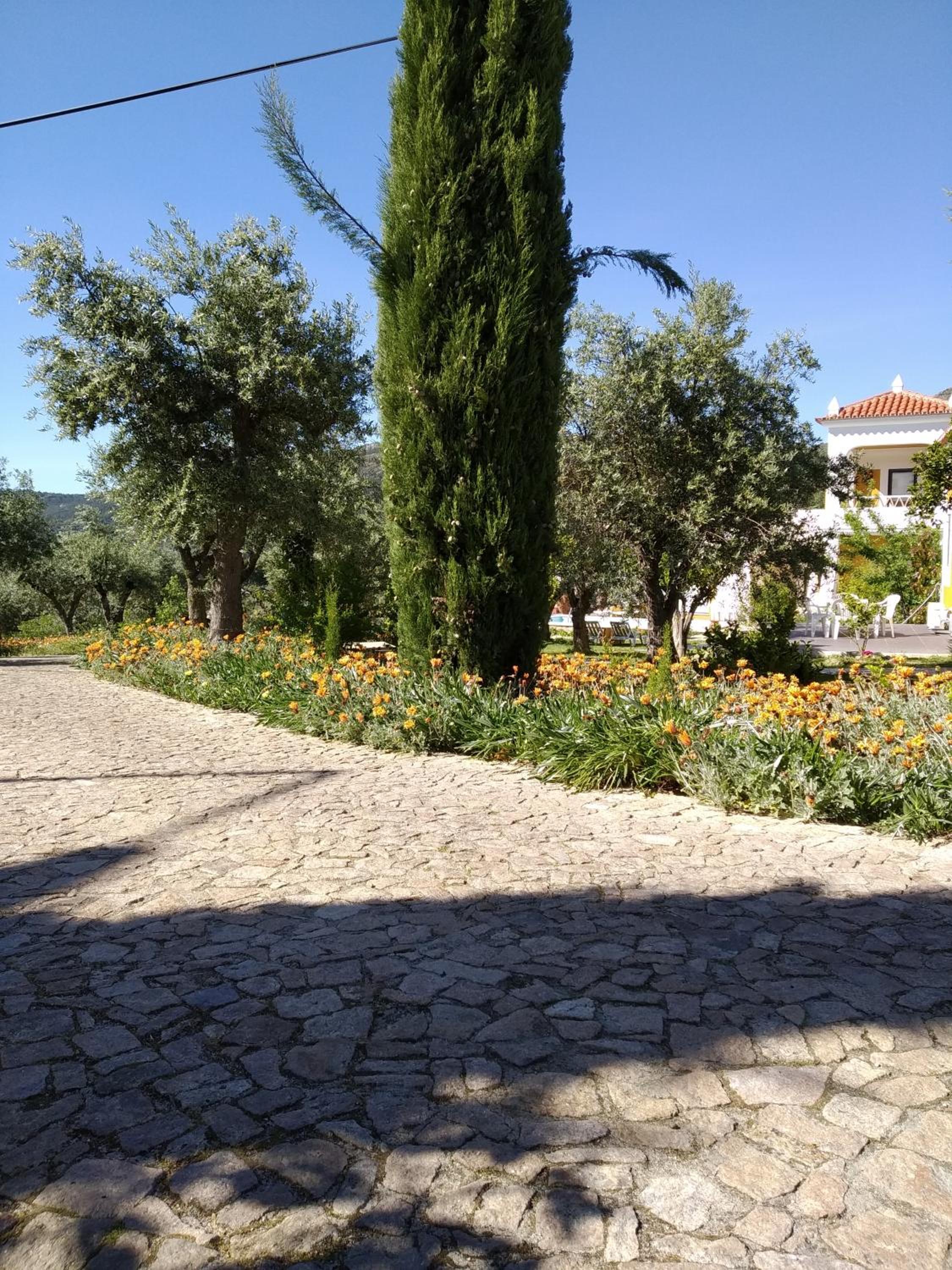 Casa da Paleta
