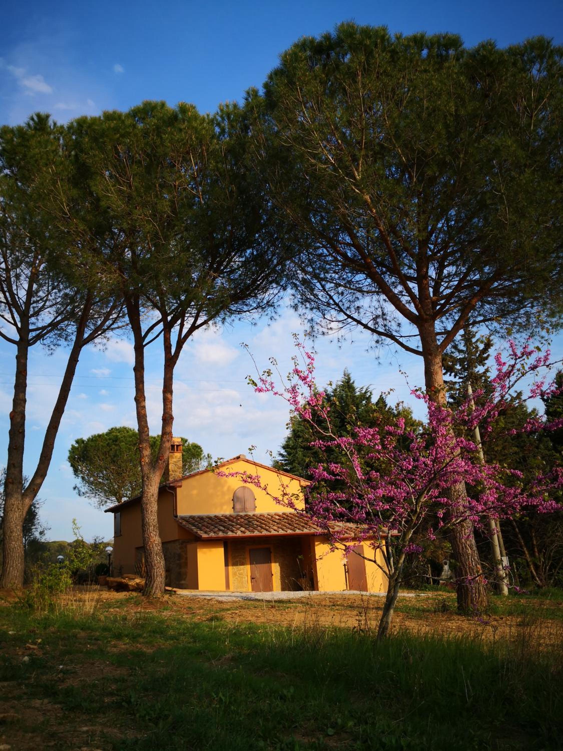 Il Montedoro view 5