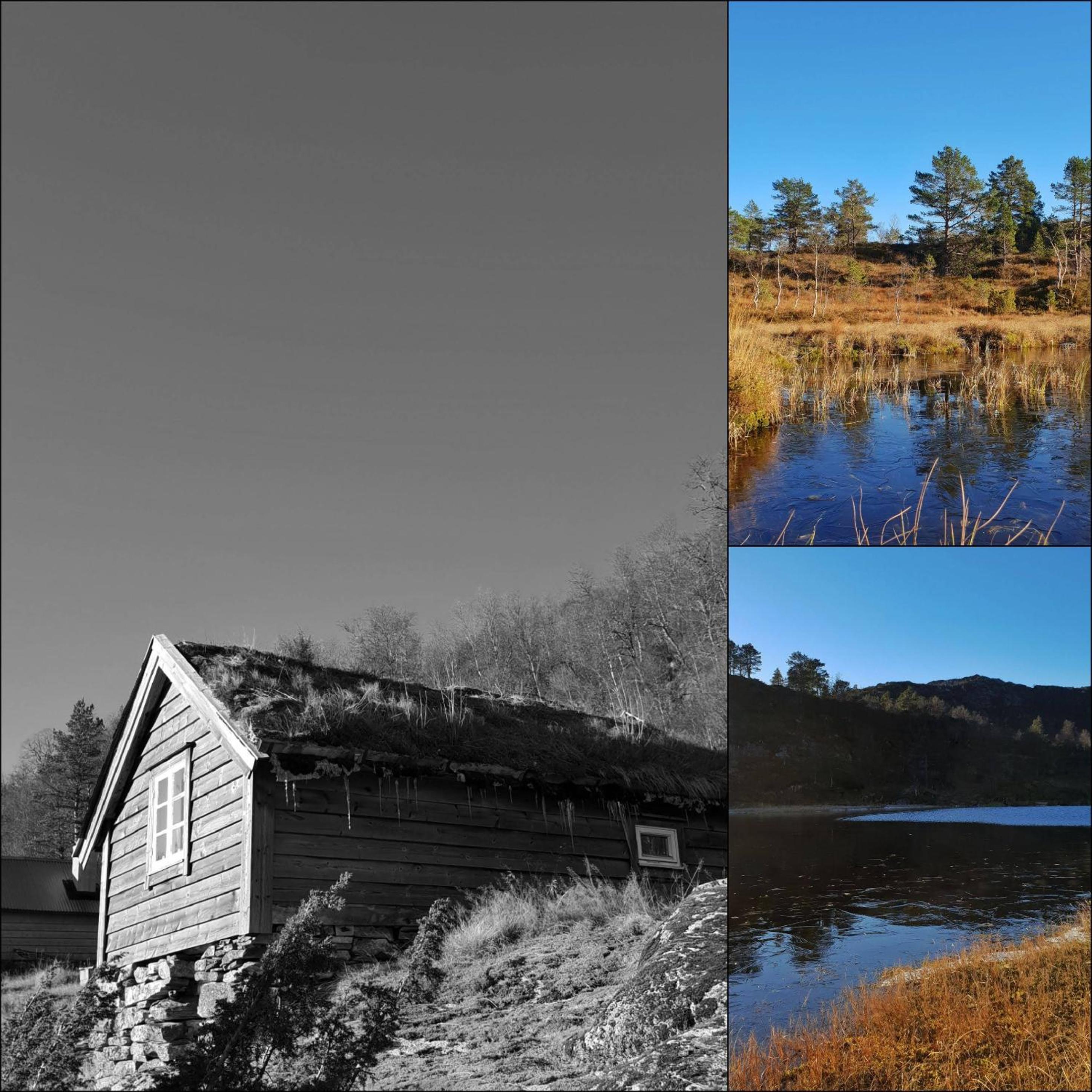 Waerholmen