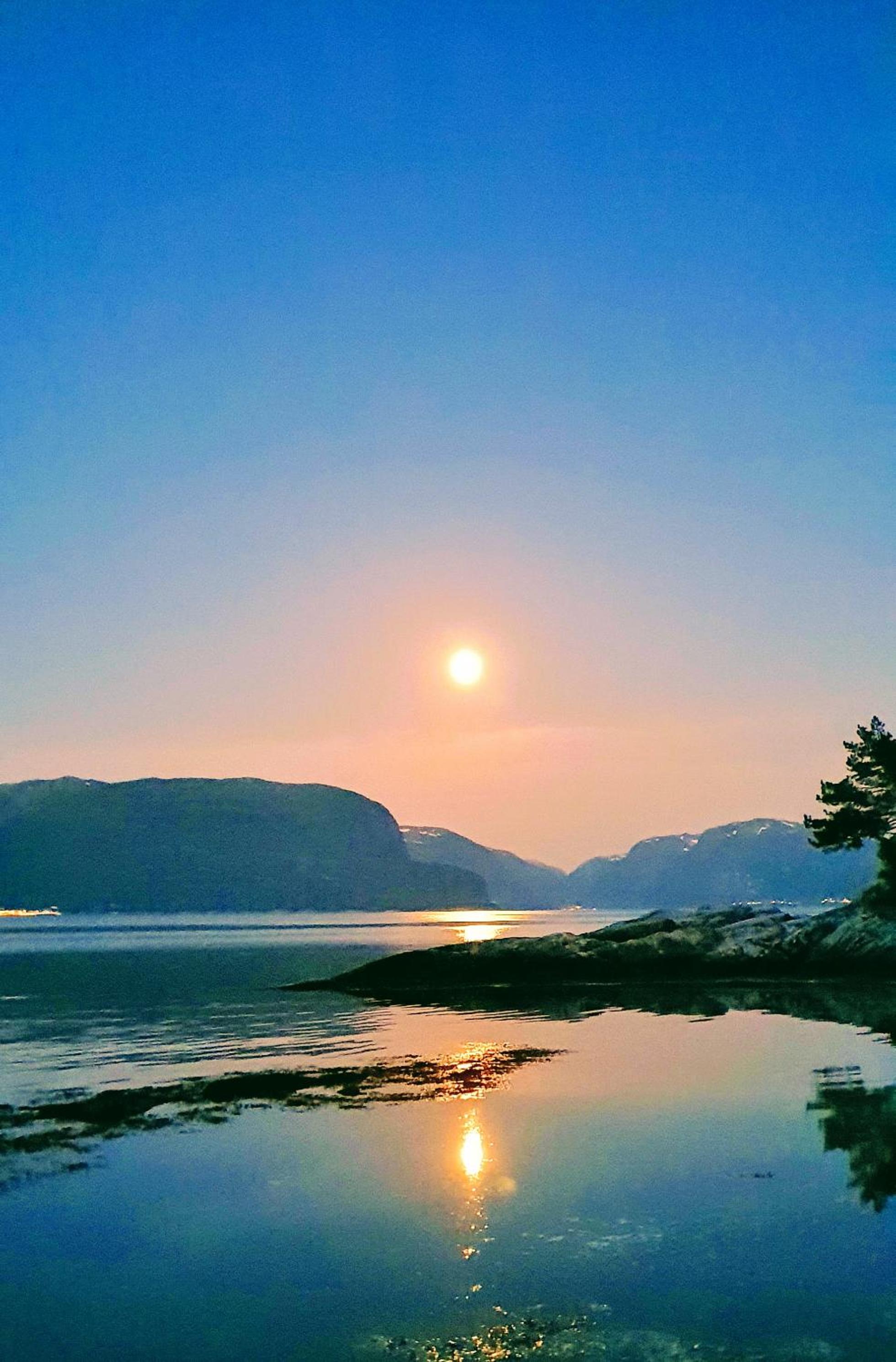 Waerholmen