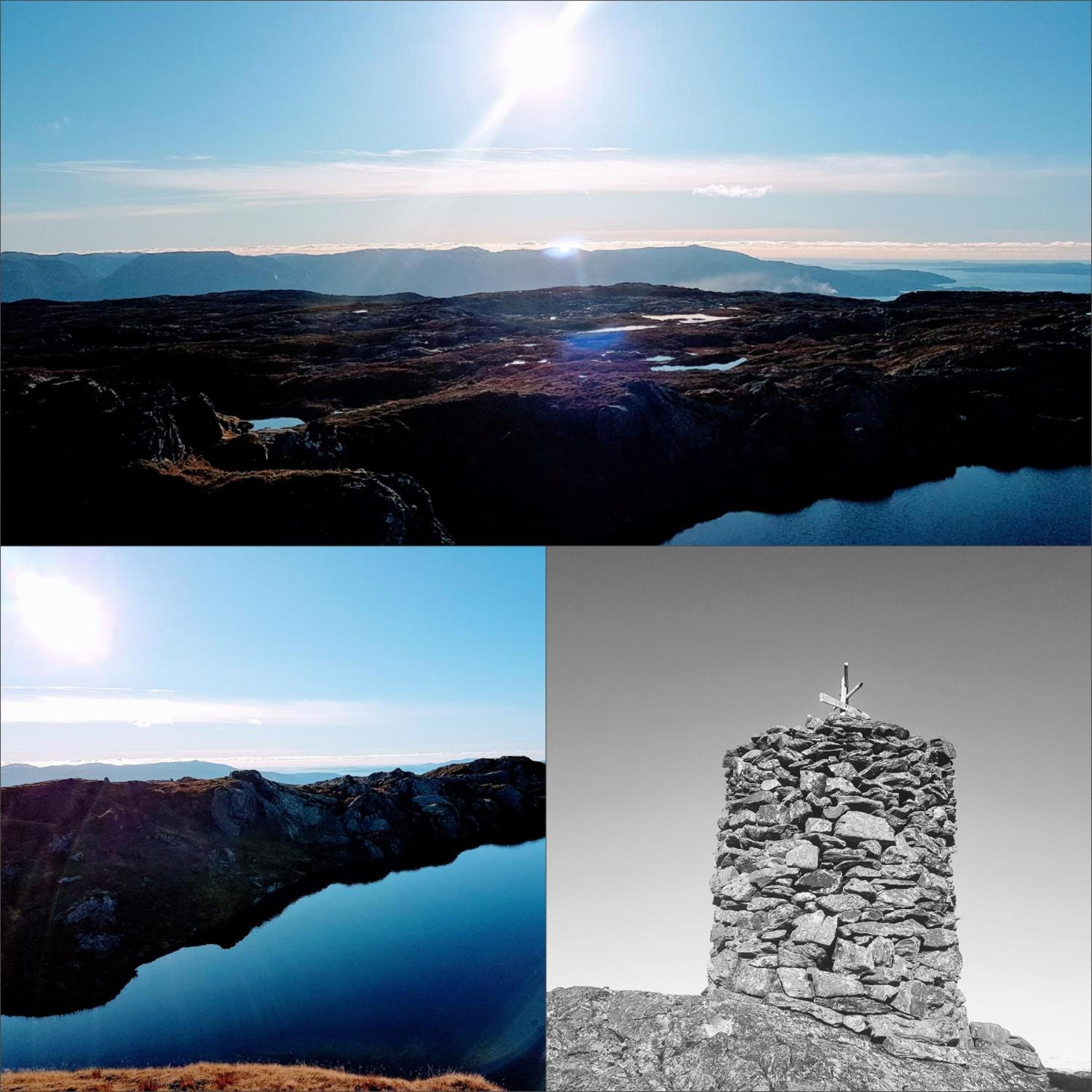 Waerholmen