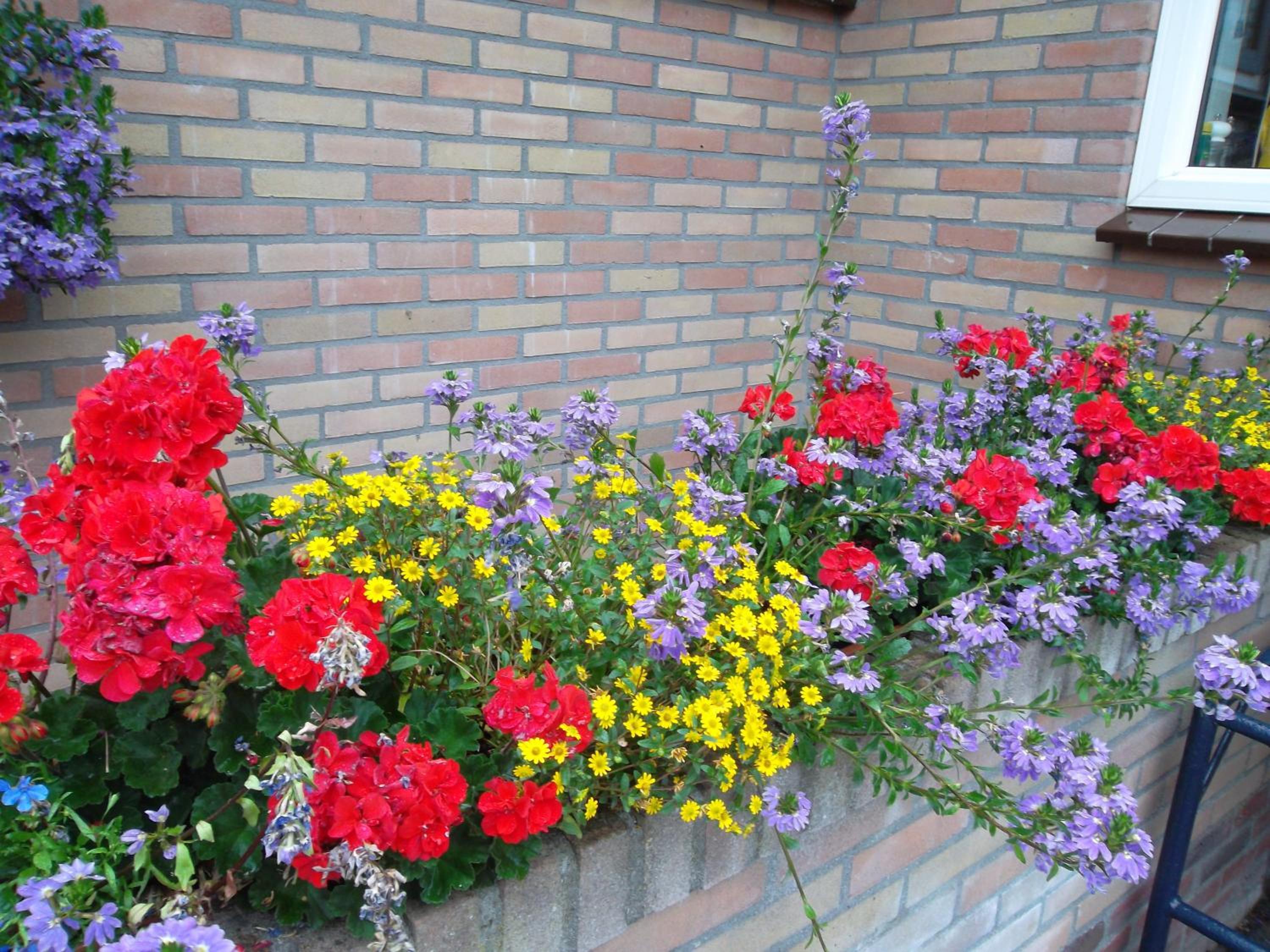Photo 73