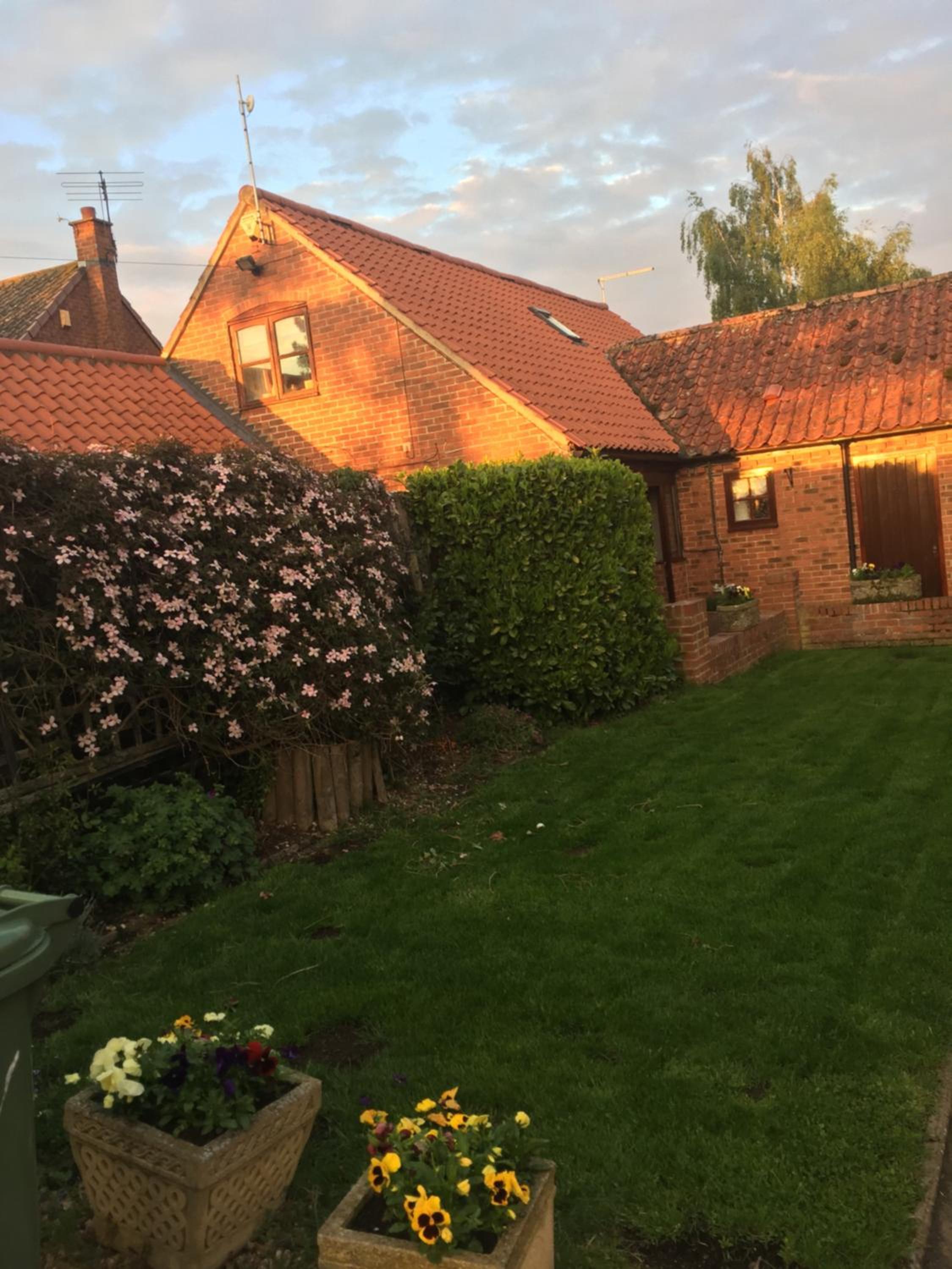 Photo 16