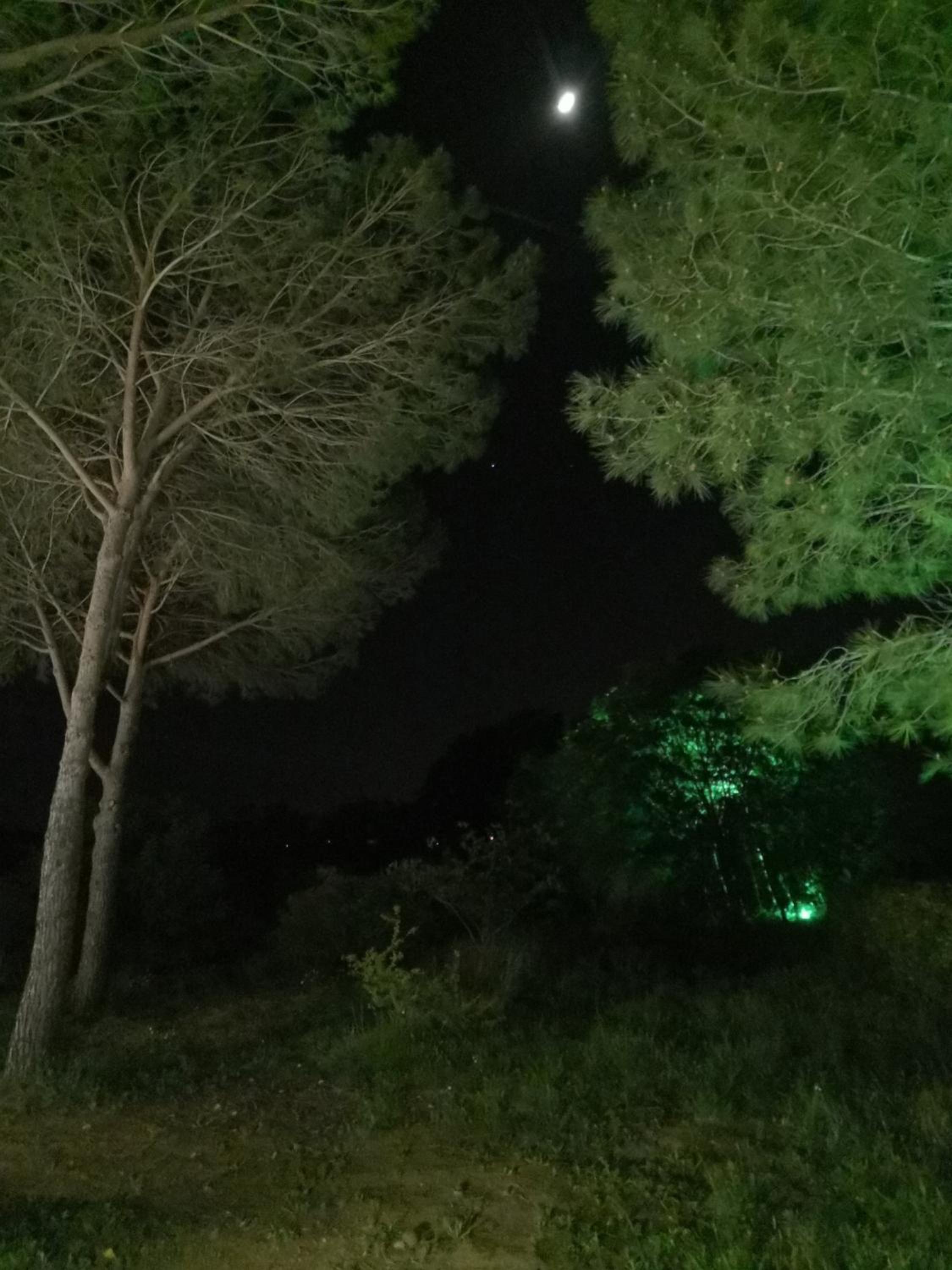 Il Montedoro photo 4
