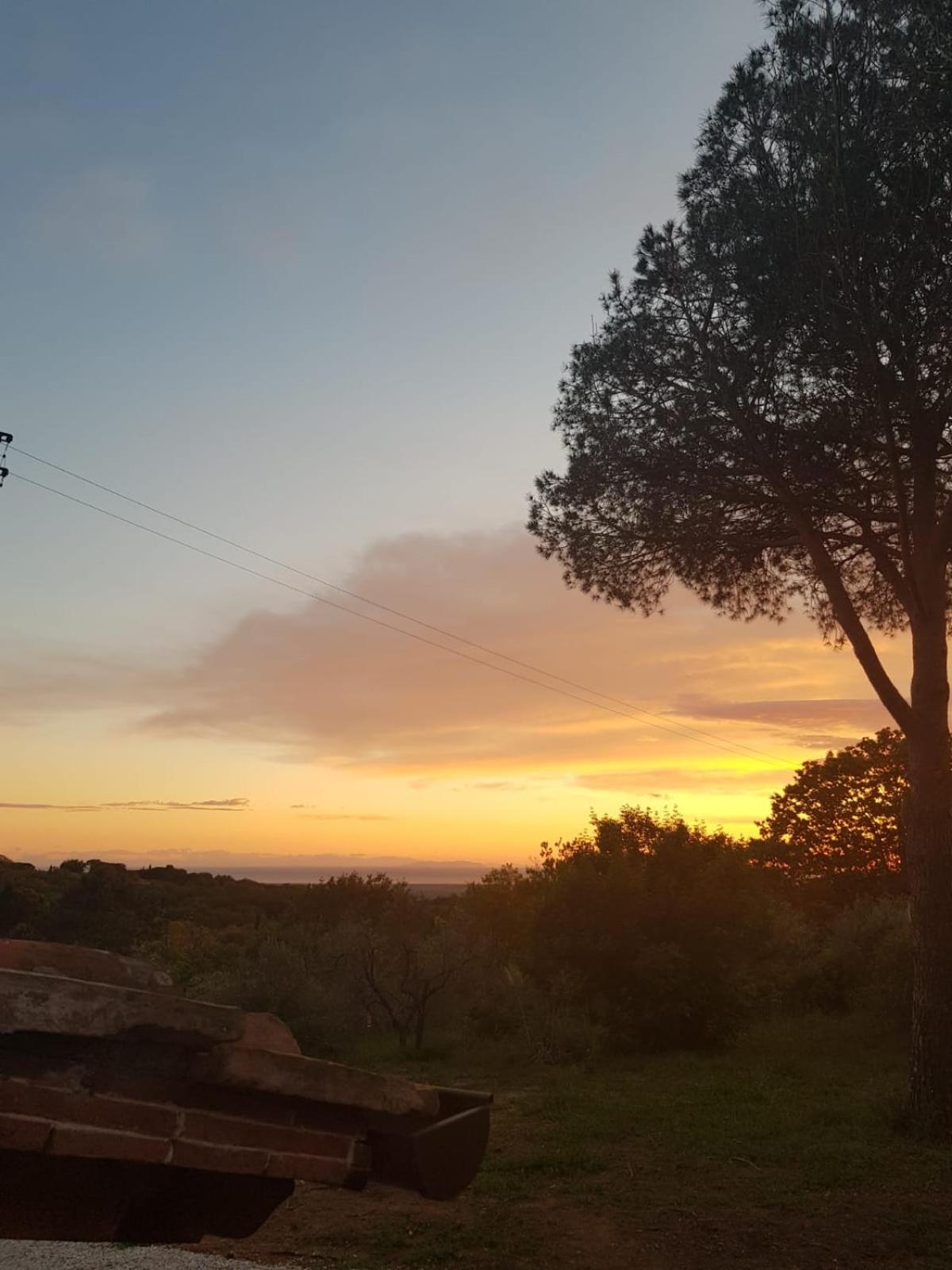 Il Montedoro photo 3