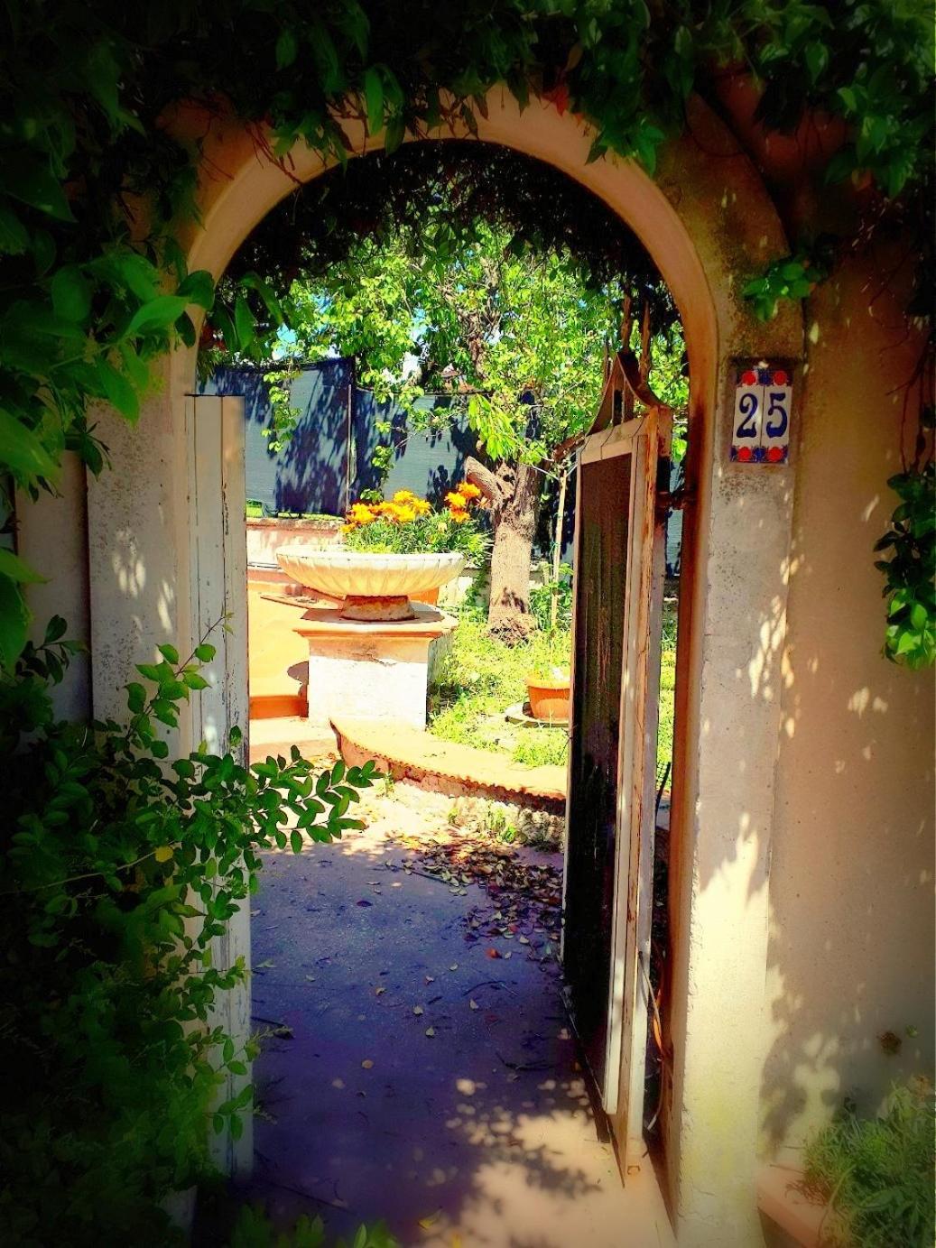 Photo 7