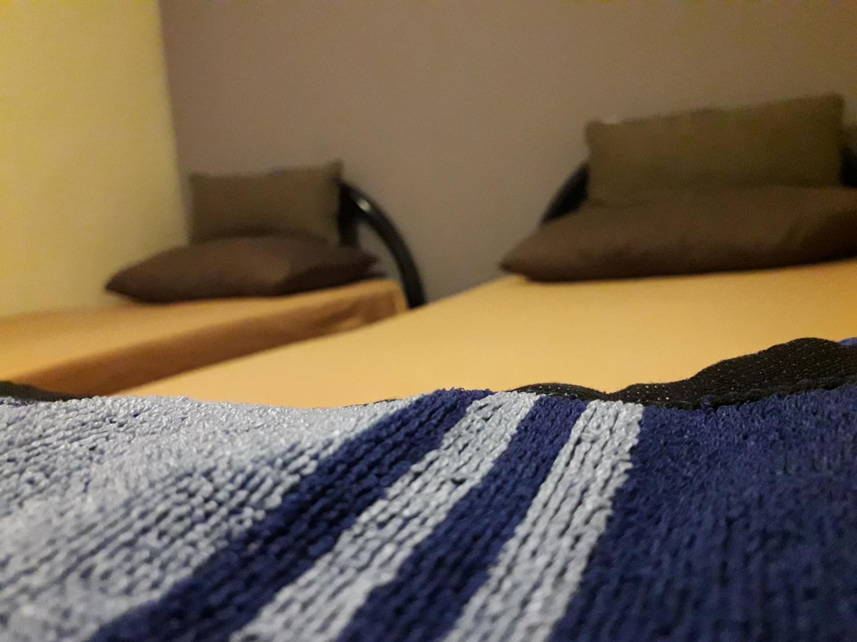 QuiikCat, photo 17