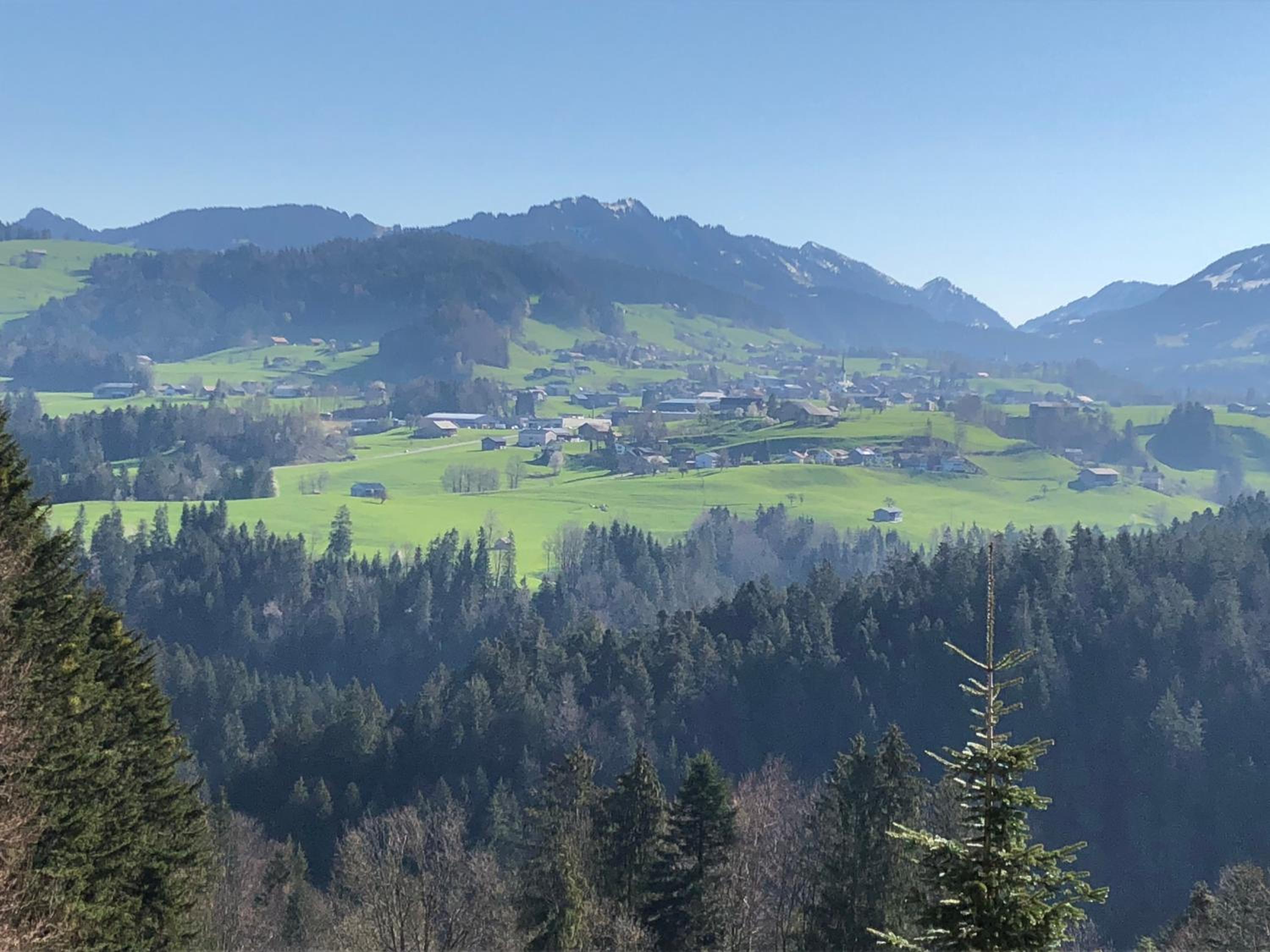 Ferienhaus am Waldrand von Egg Bregenzer Wald