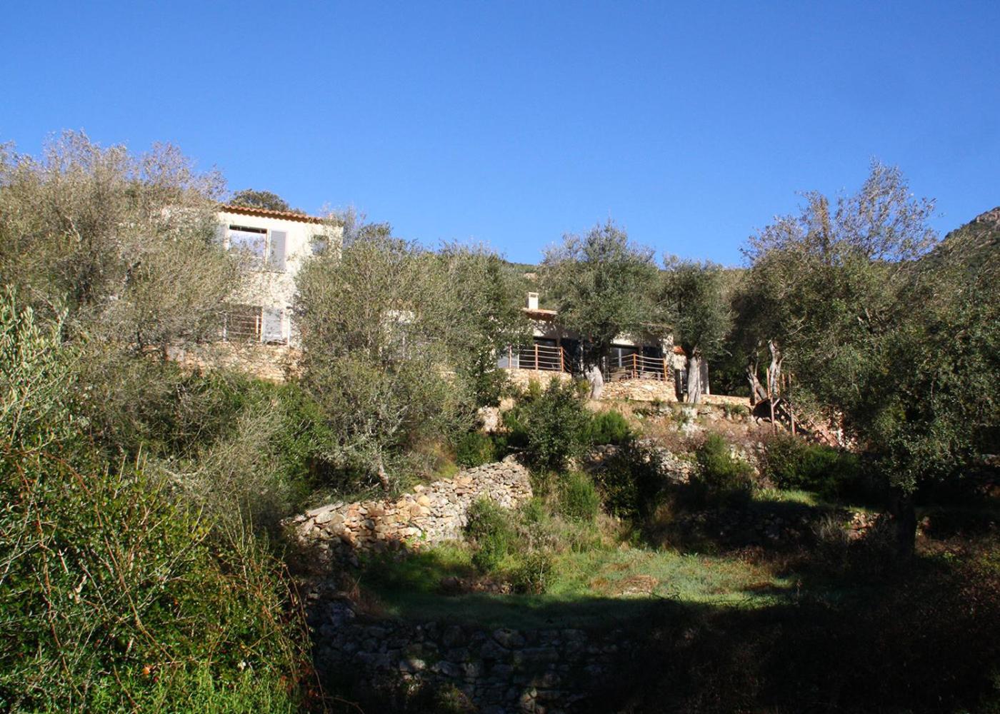Photo 41