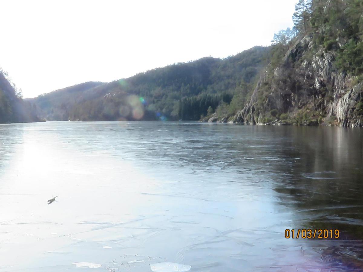 Photo 46