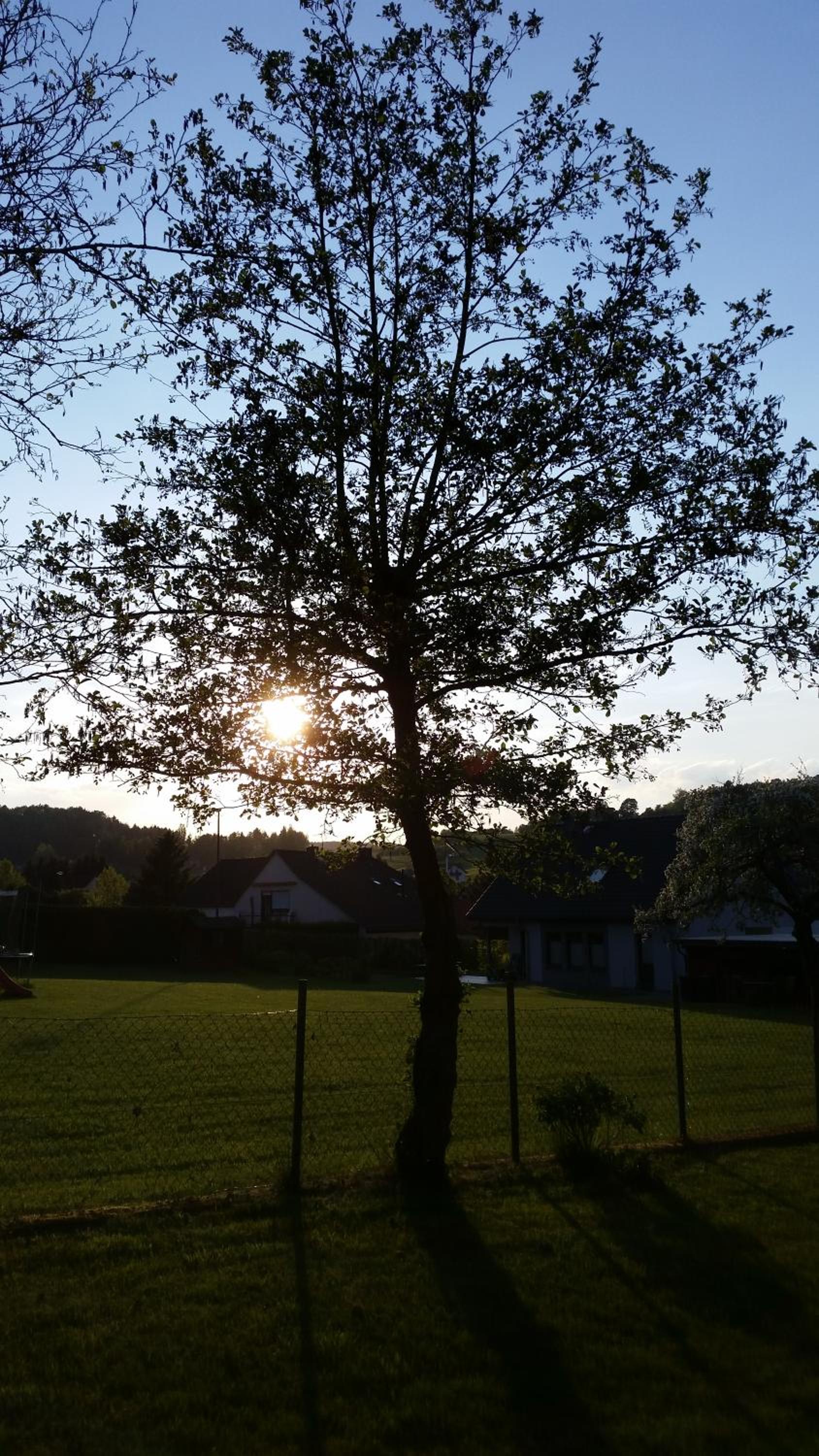 Eifelferienhaus Thome