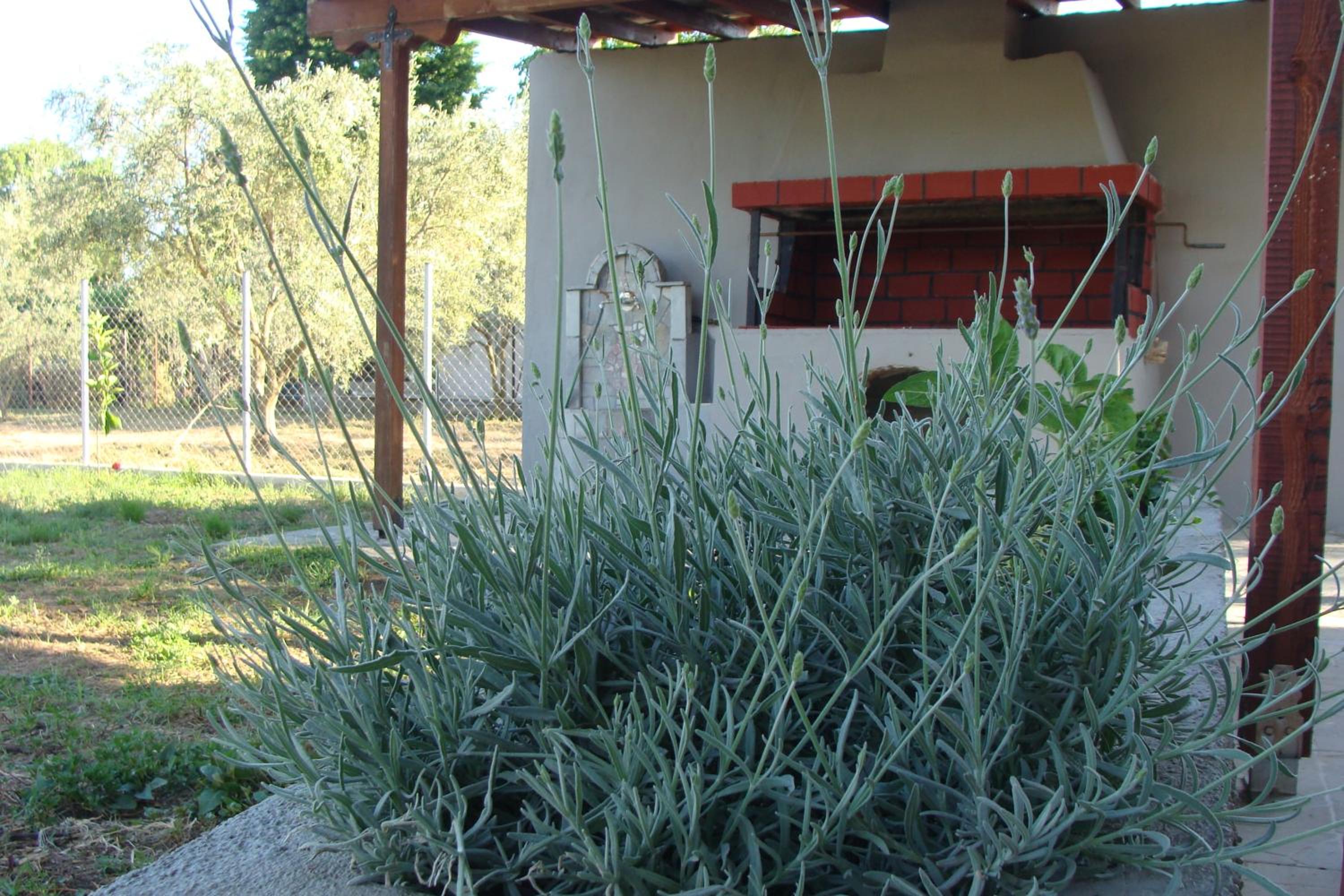 Photo 35