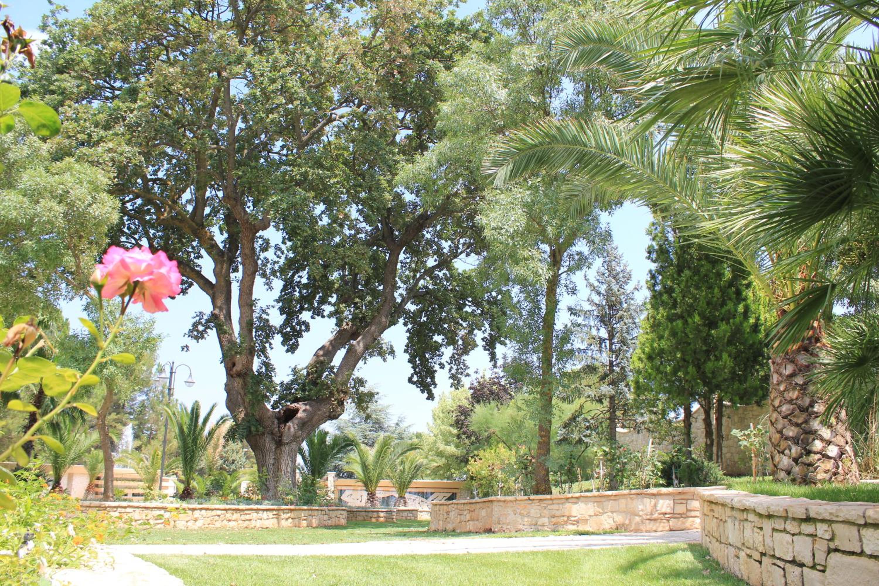 Photo 13