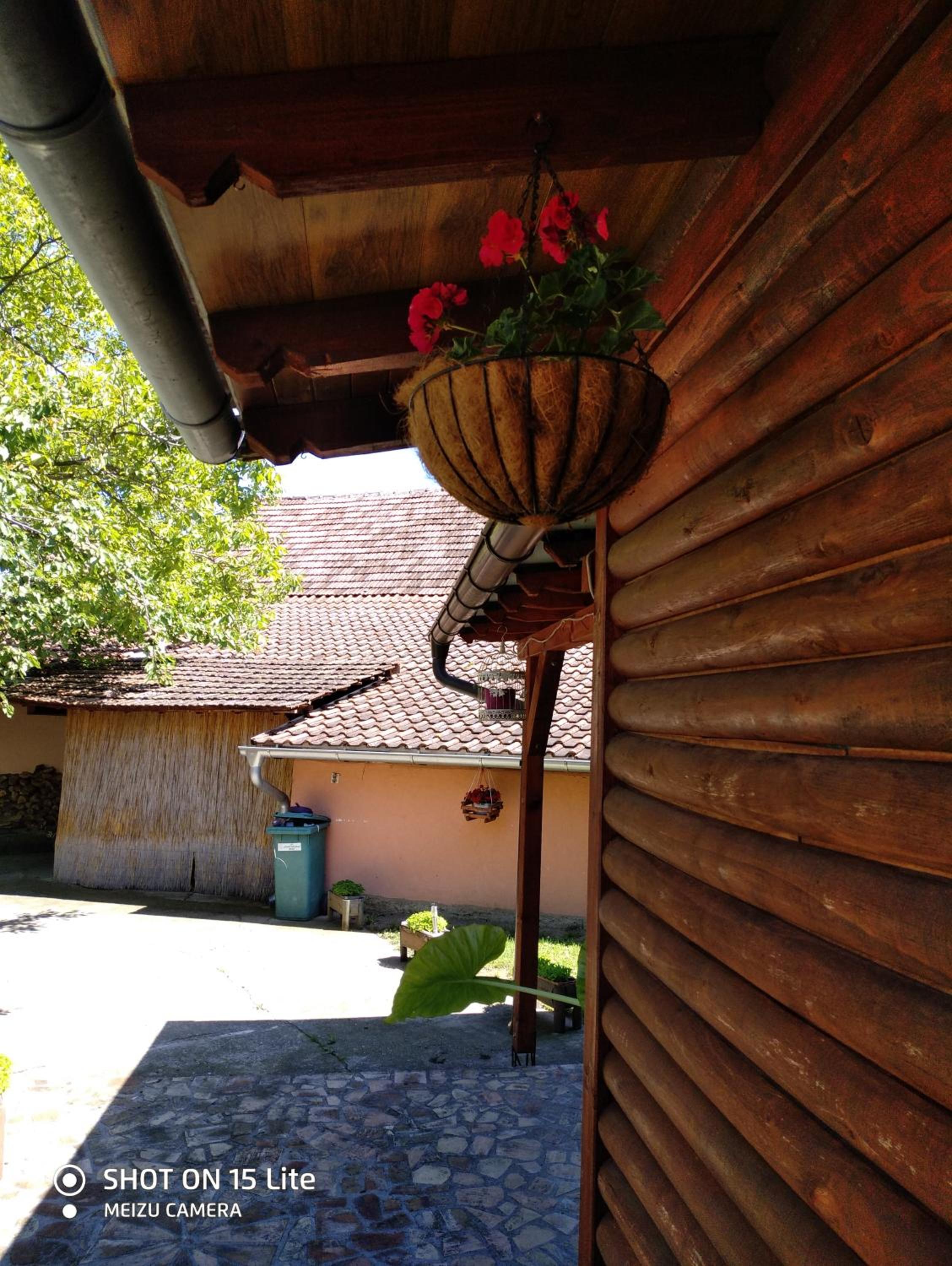 Photo 15