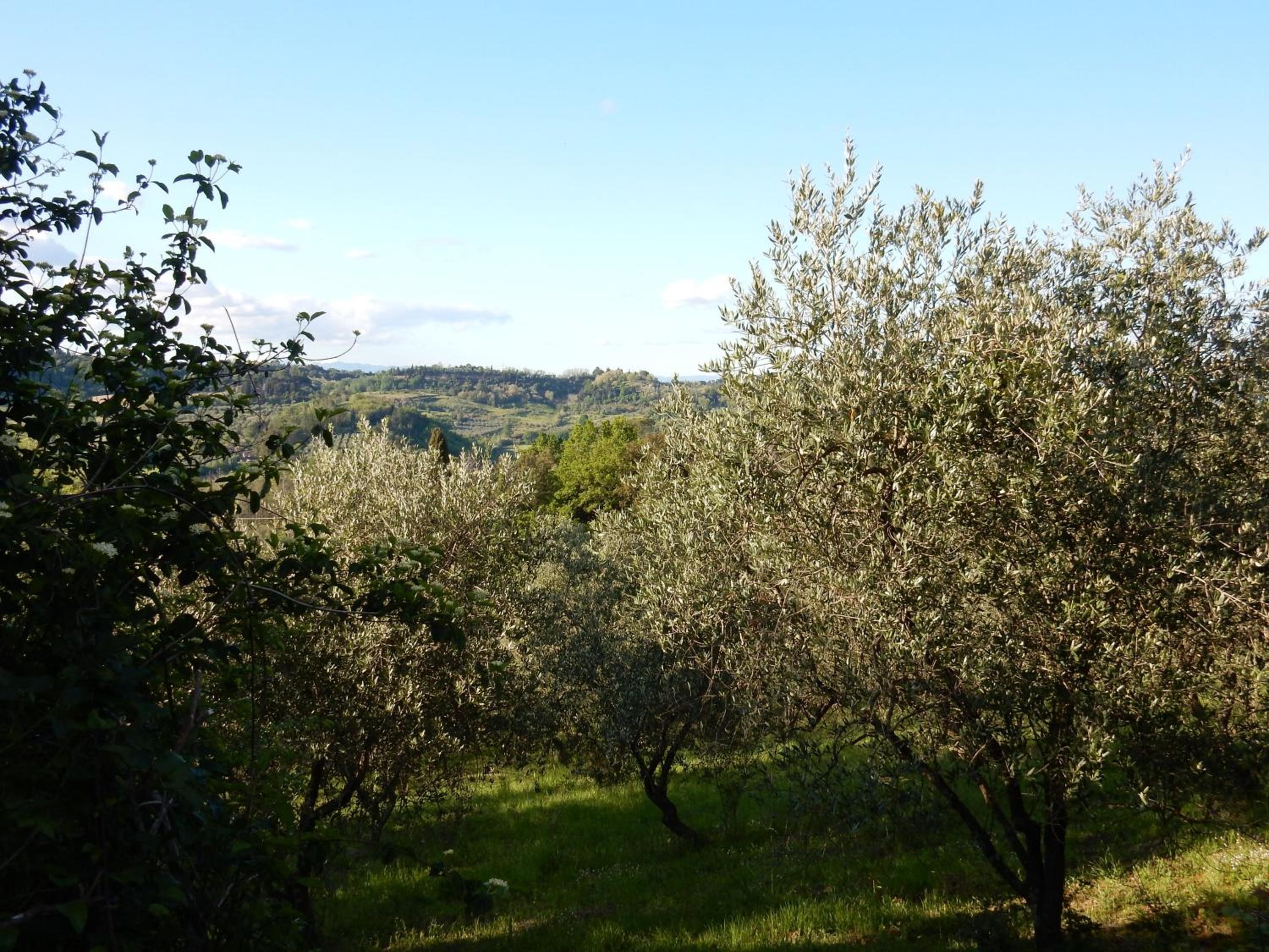 Agriturismo Anna-Rosa