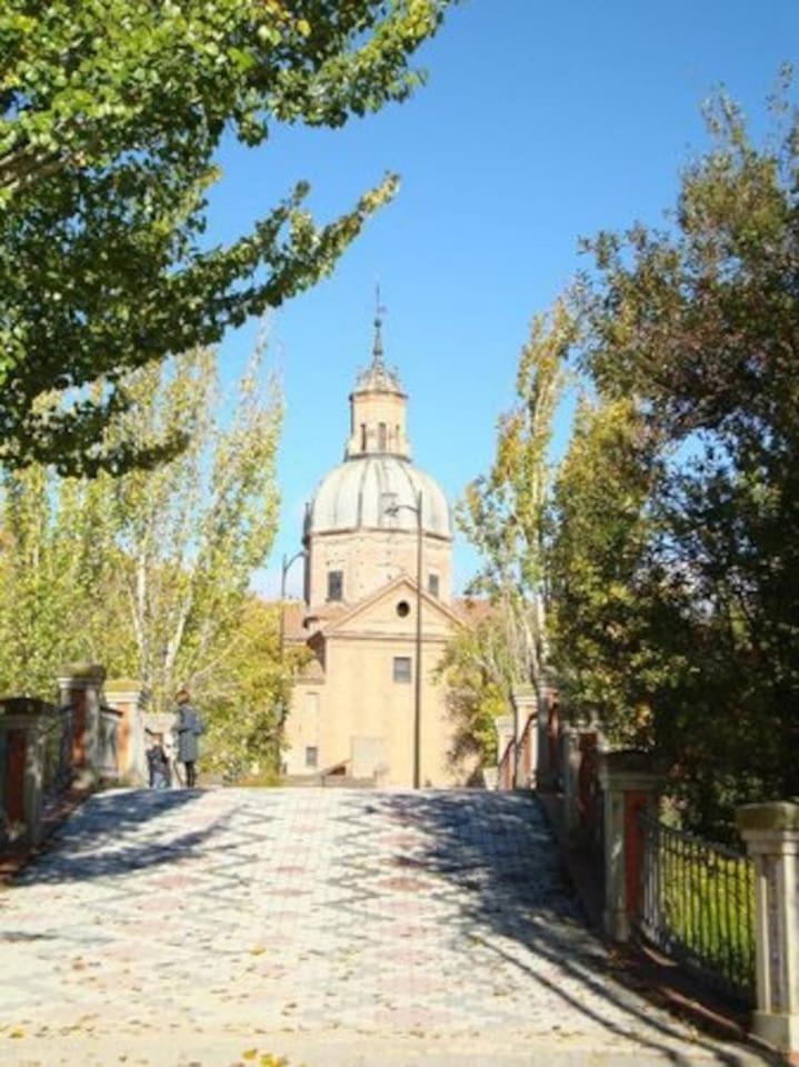 Photo 45