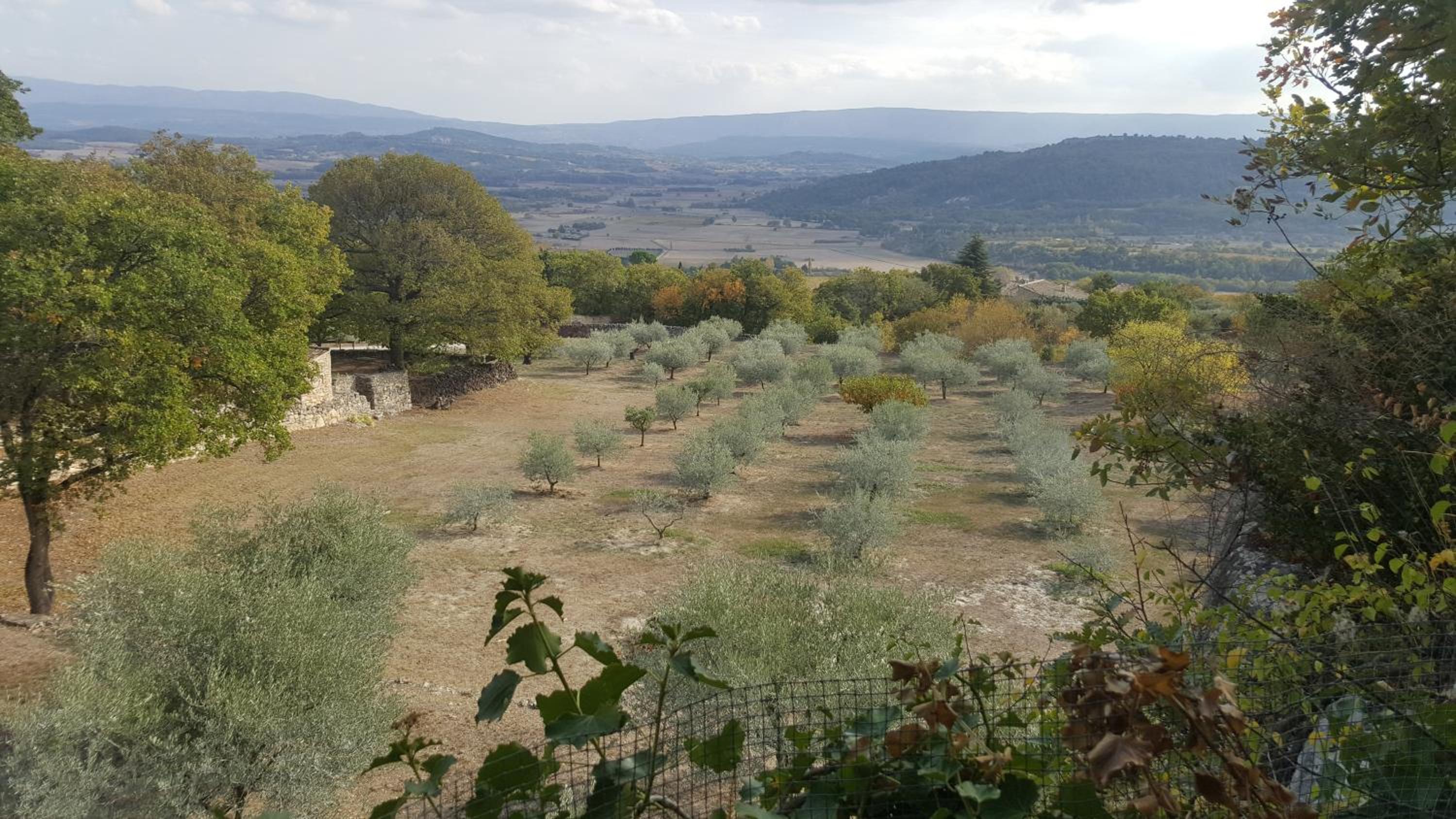 Les Rapieres Mireio view 3