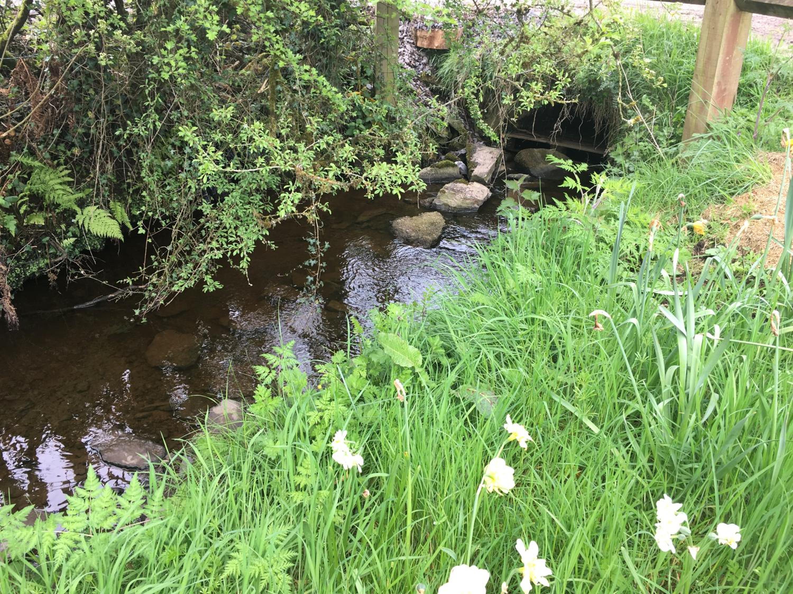 Photo 17