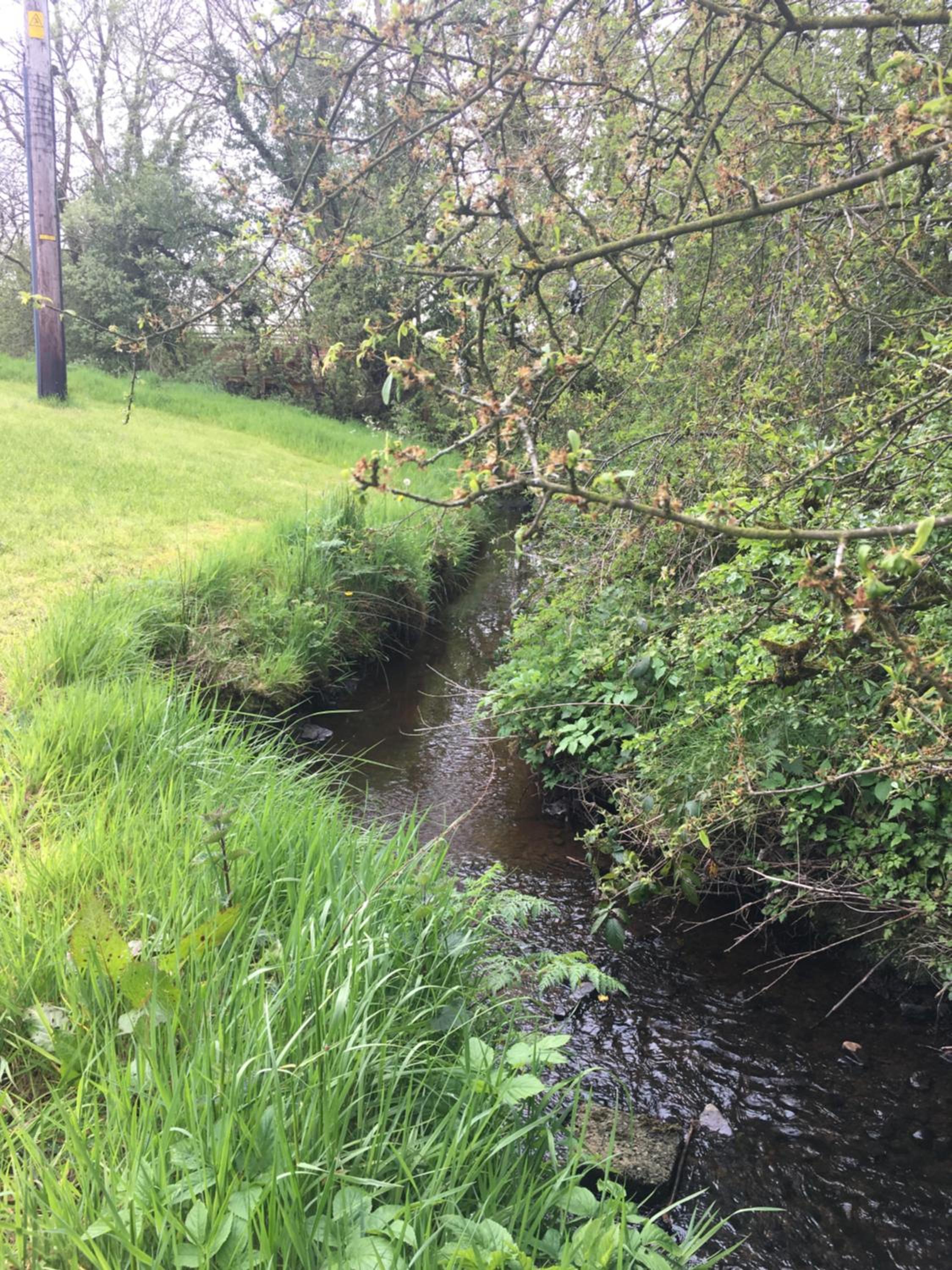 Photo 16