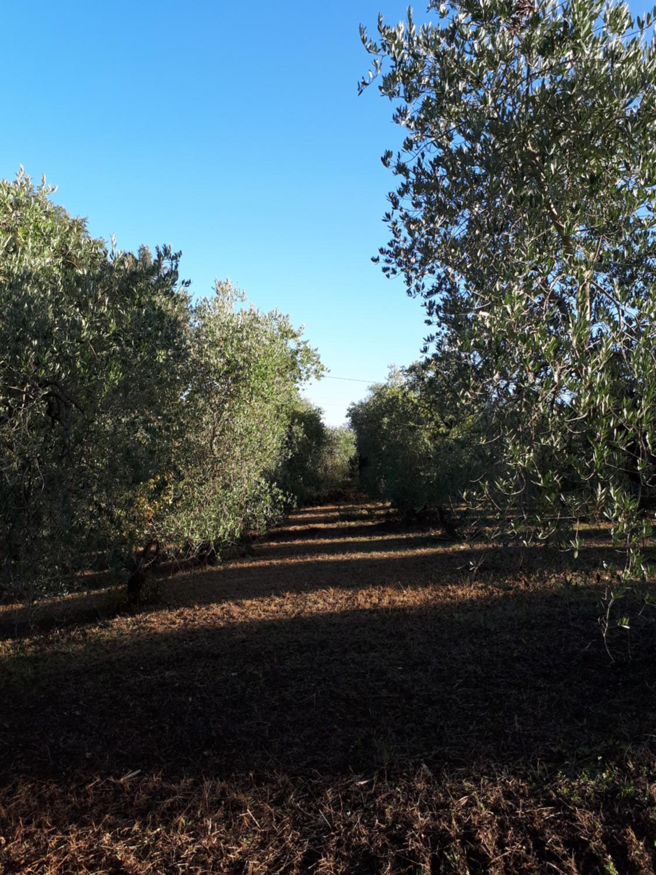 Agriturismo Anna-Rosa