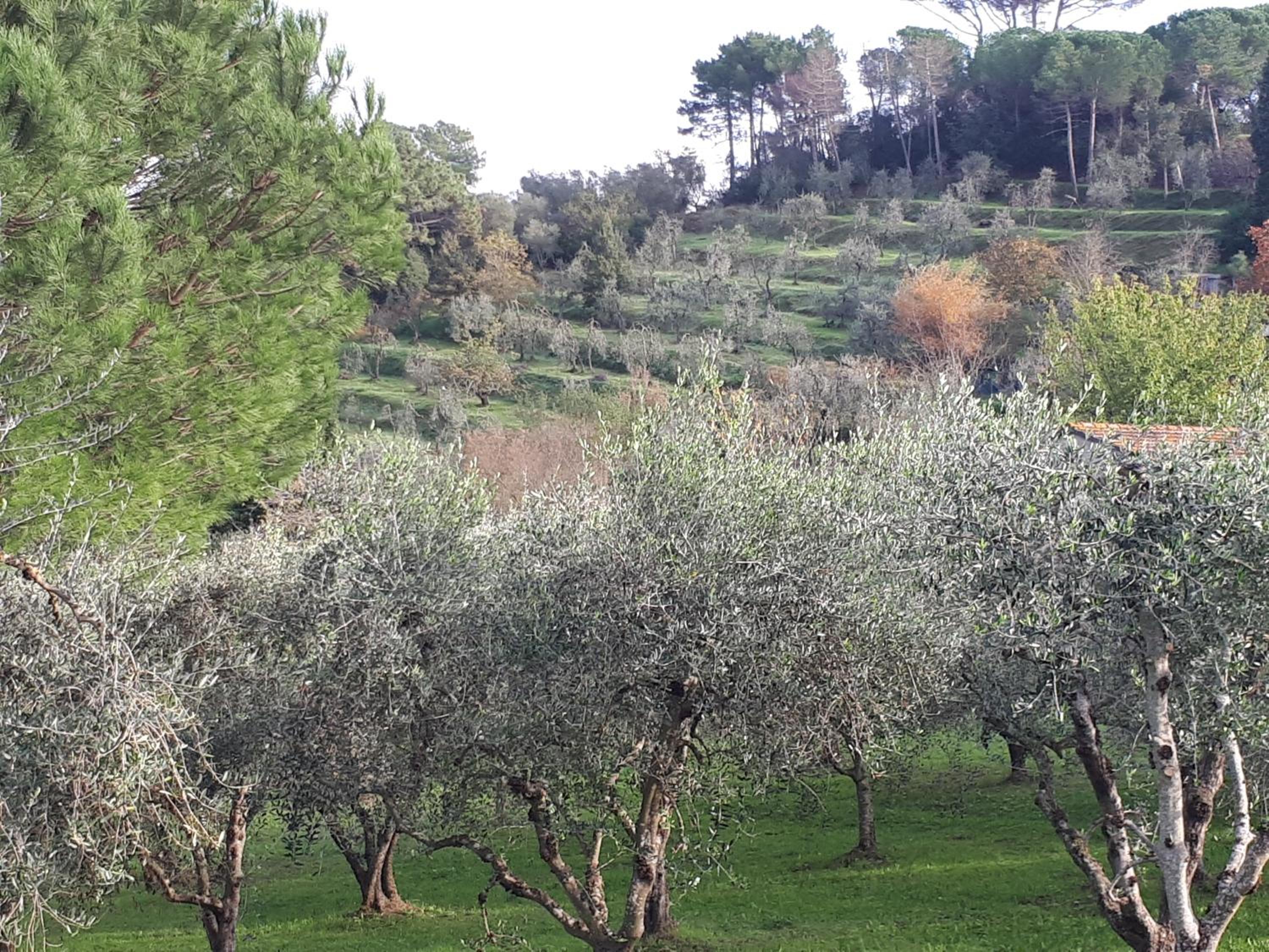 Agriturismo Anna-Rosa