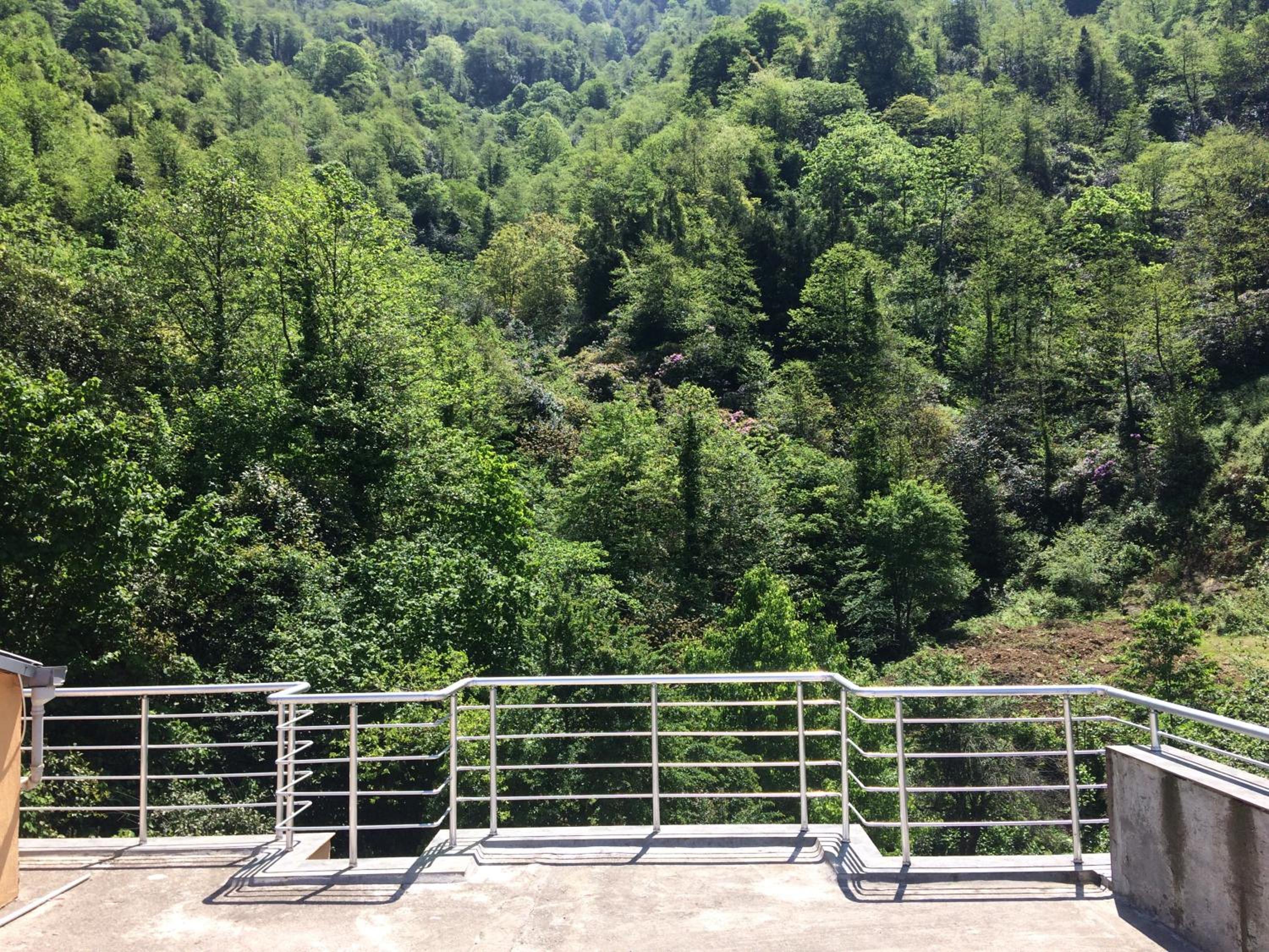 Photo 48