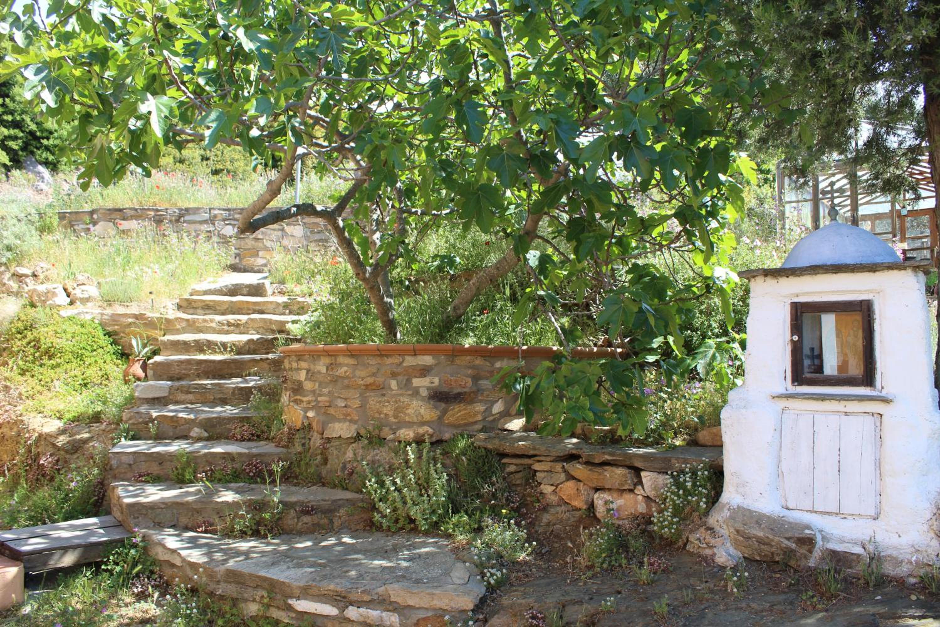 Photo 43