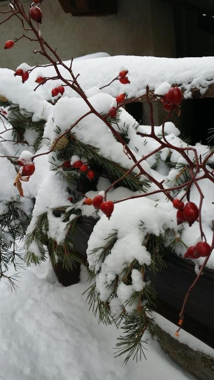 Photo 23