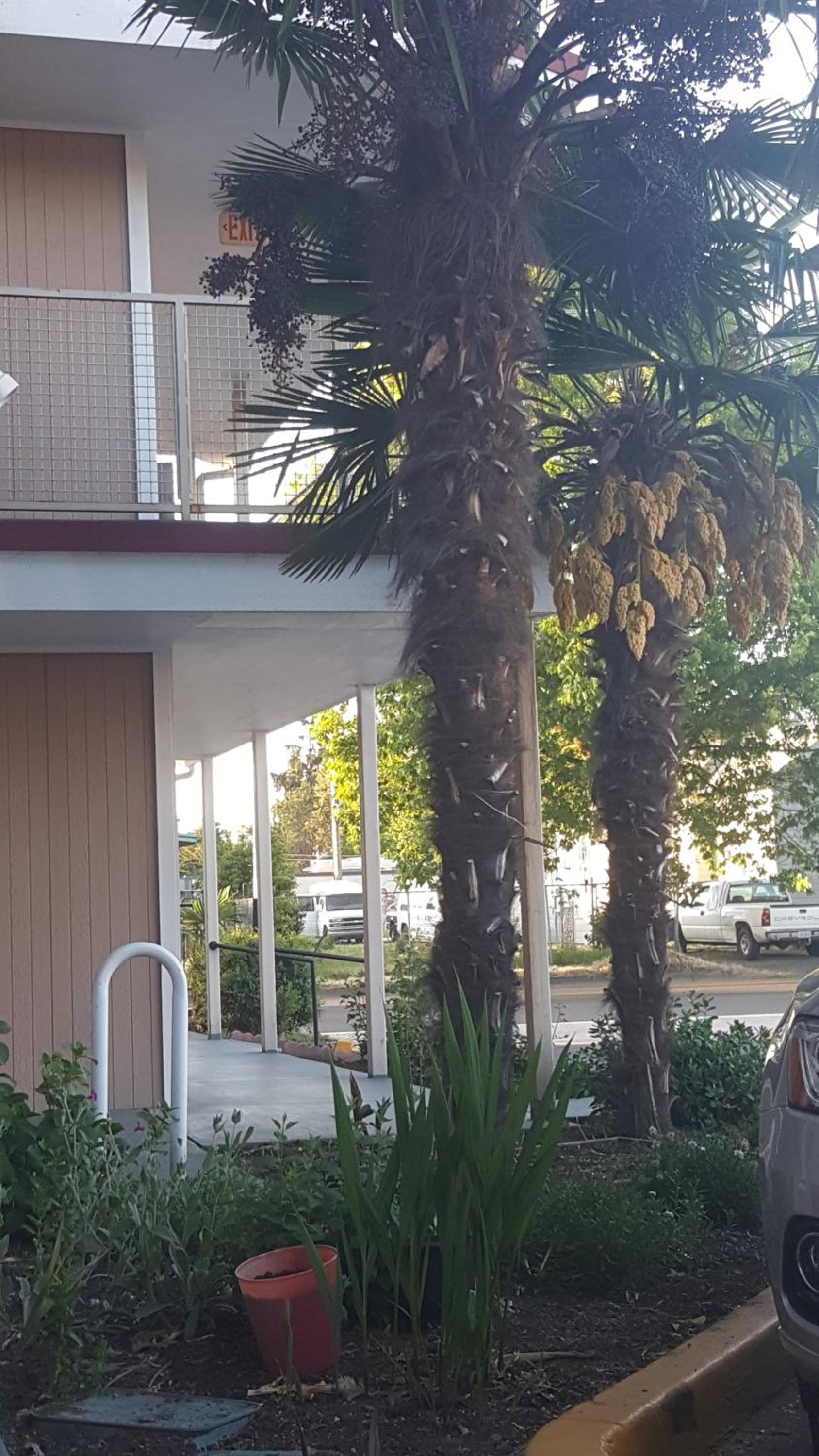 Express Inn & Suites Eugene