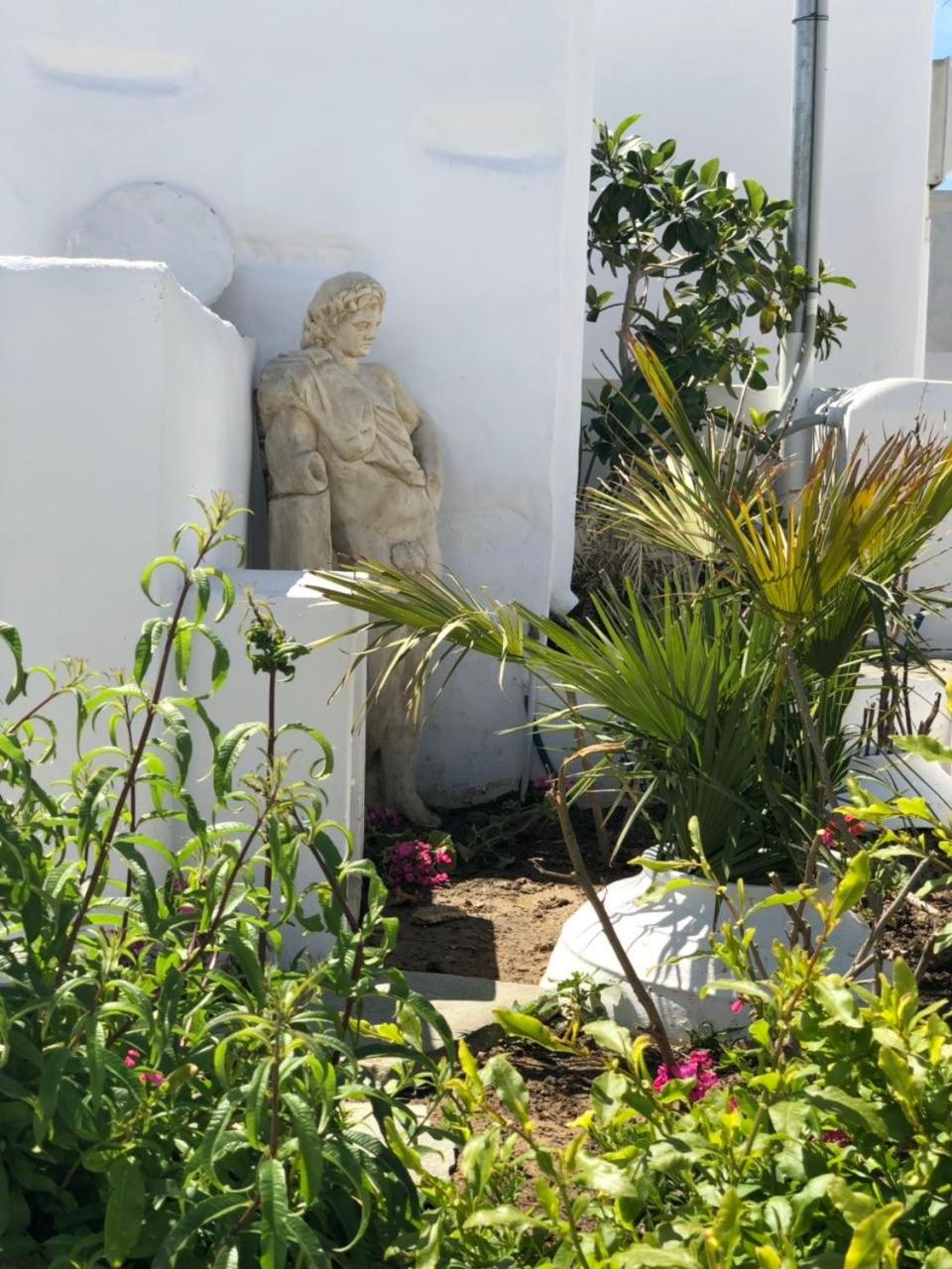 Photo 24