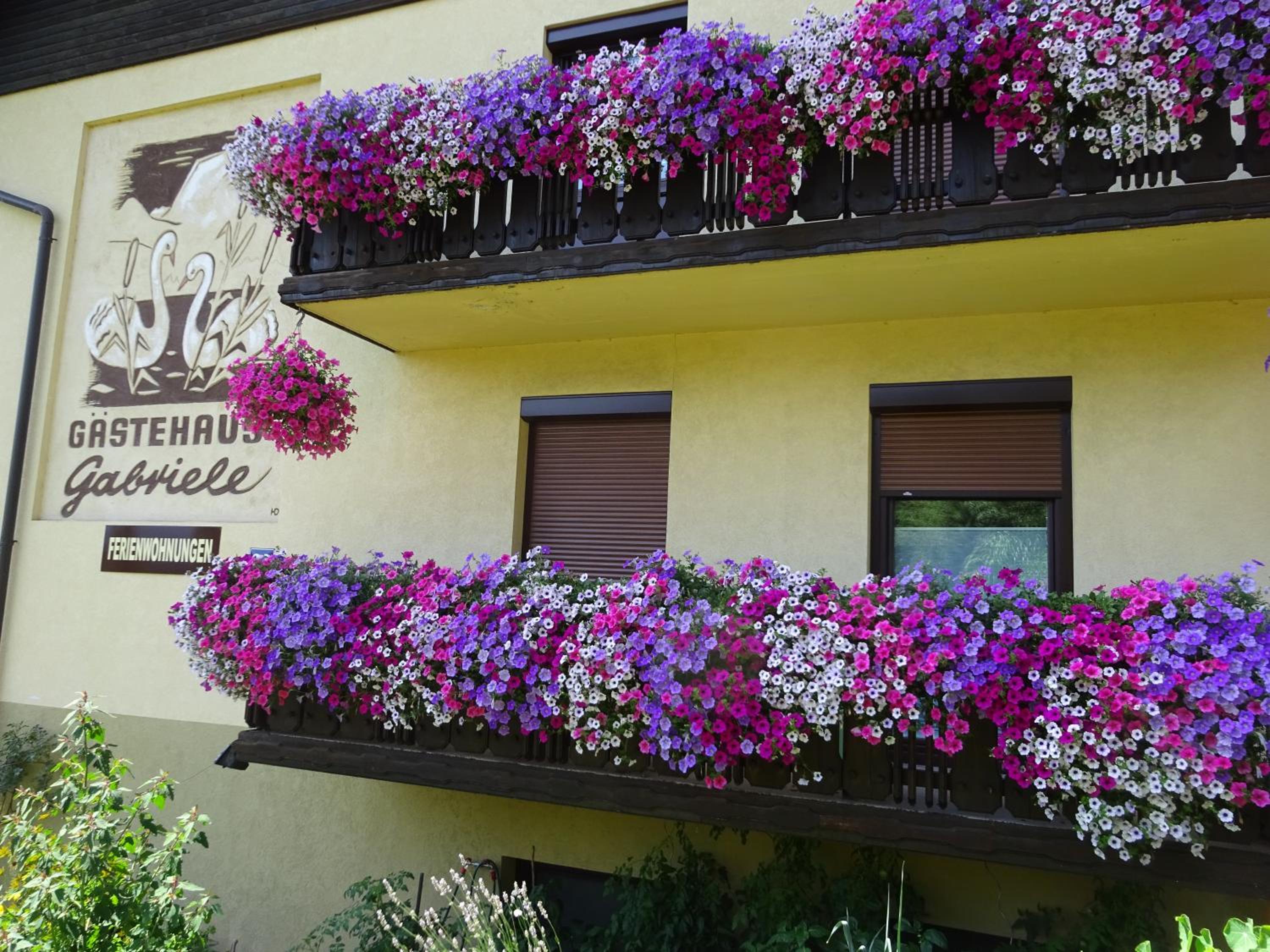Appartement - Ferienwohnungen - Gästehaus Gabriele