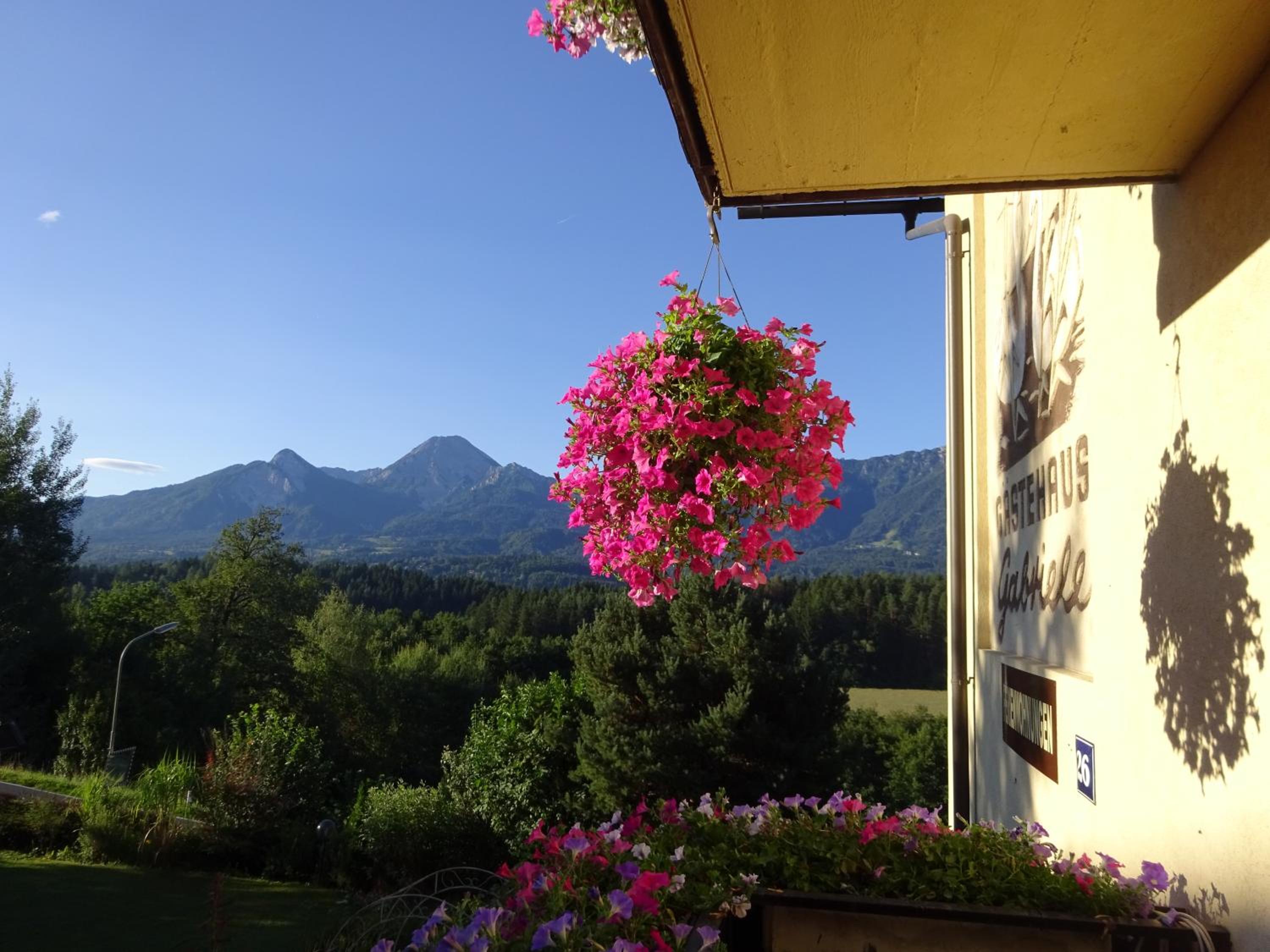 Appartement - Ferienwohnungen - Gästehaus Gabriele