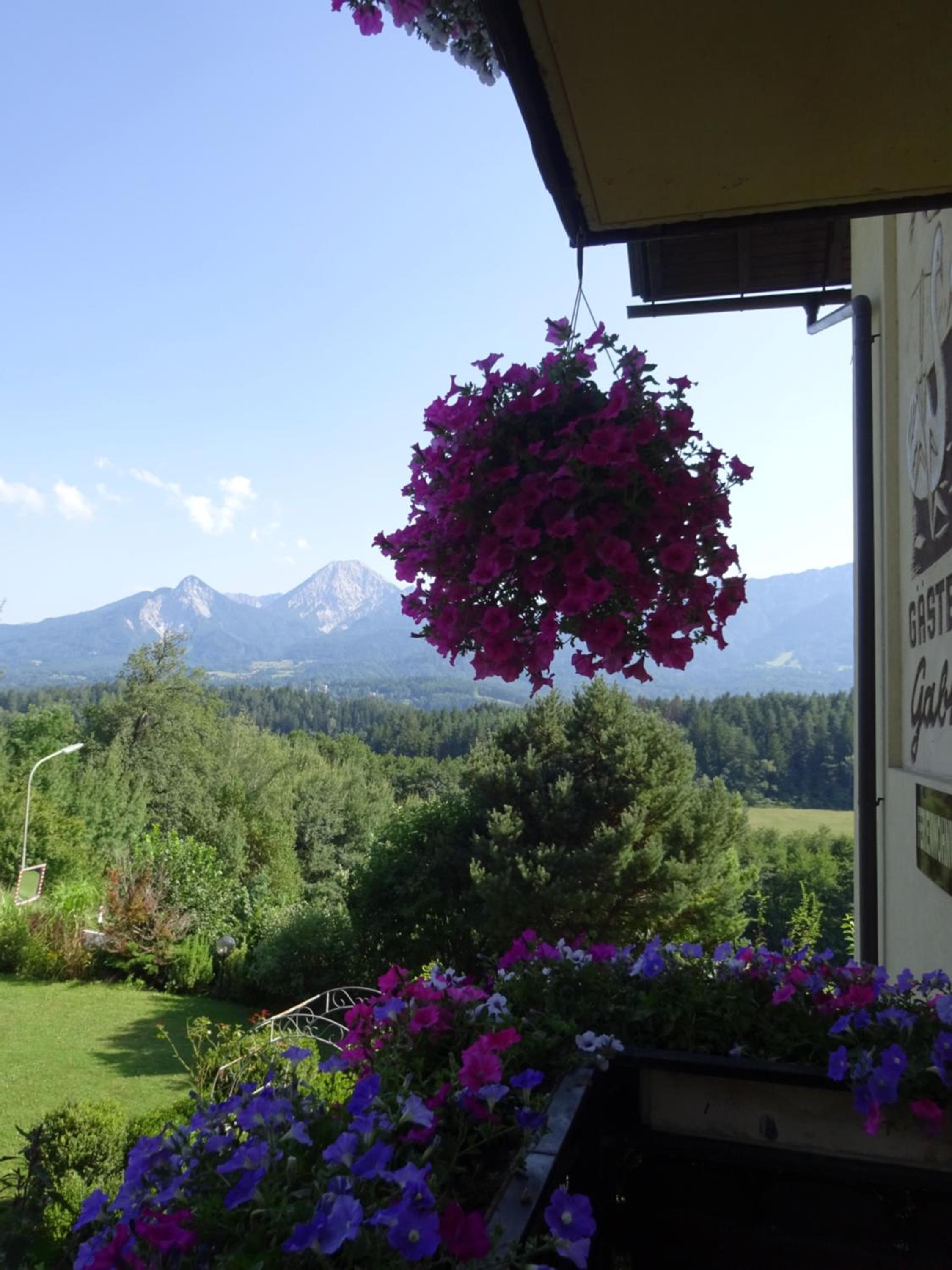 Appartement - Ferienwohnungen - Gästehaus Gabriele